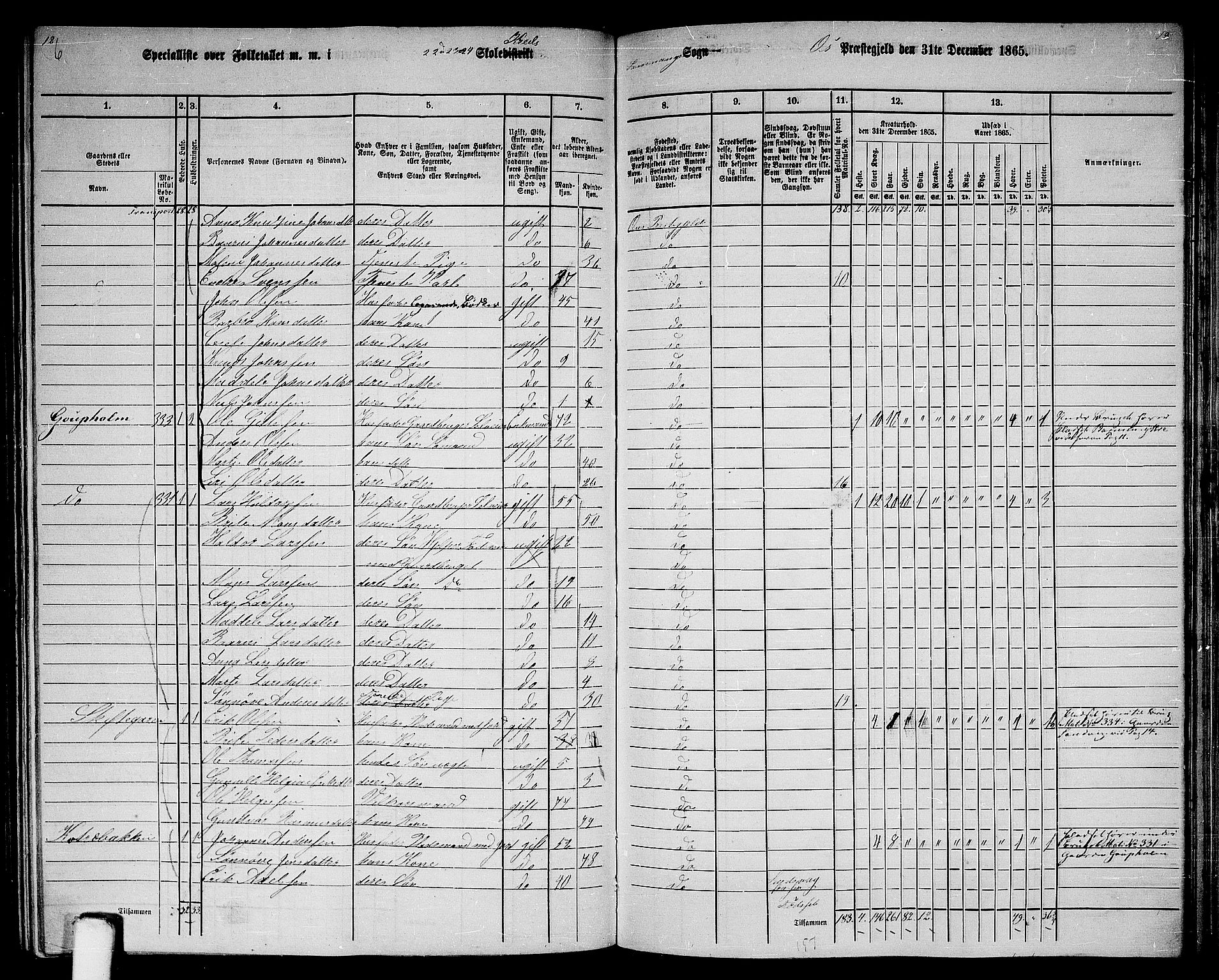 RA, 1865 census for Os, 1865, p. 143