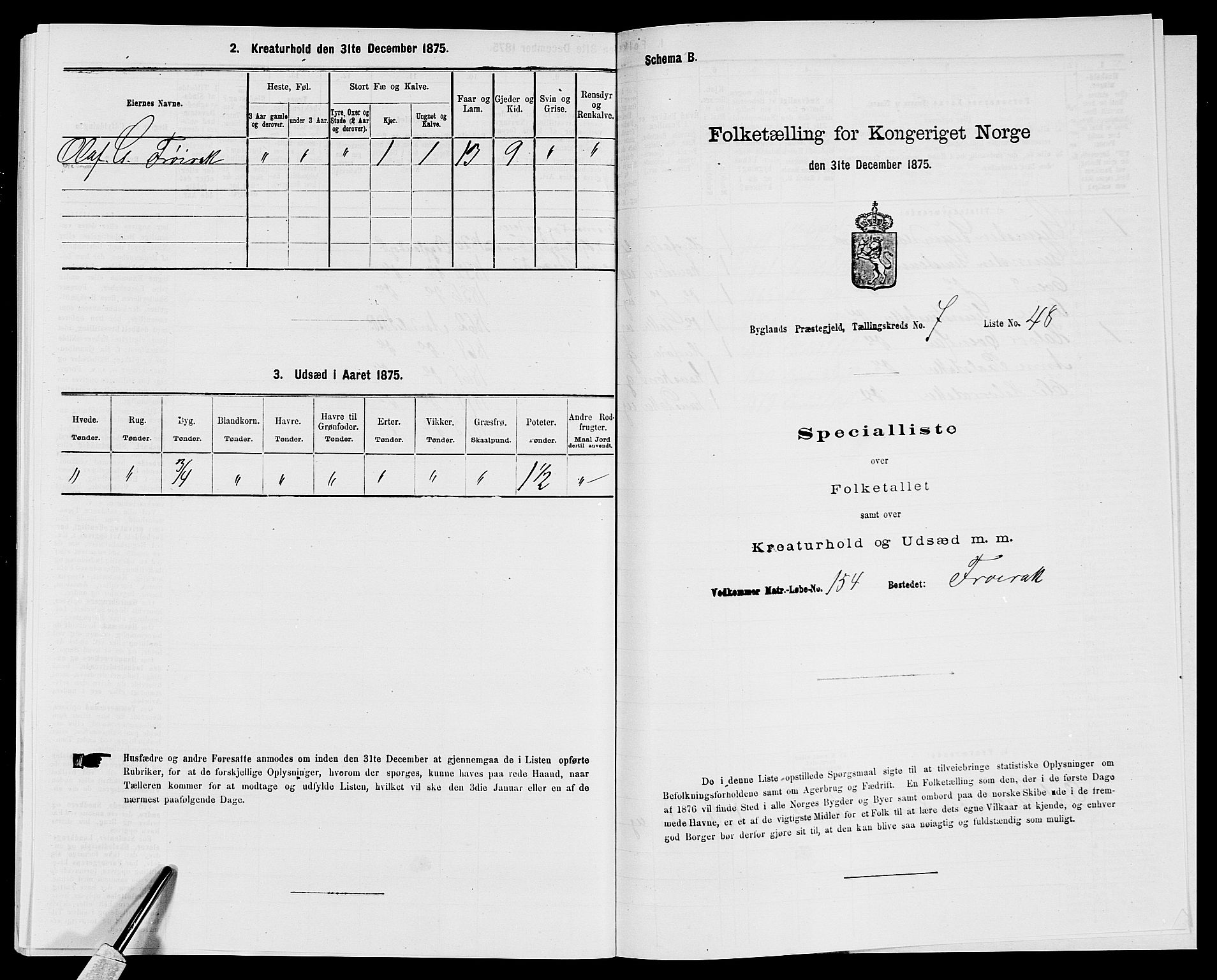 SAK, 1875 census for 0938P Bygland, 1875, p. 684