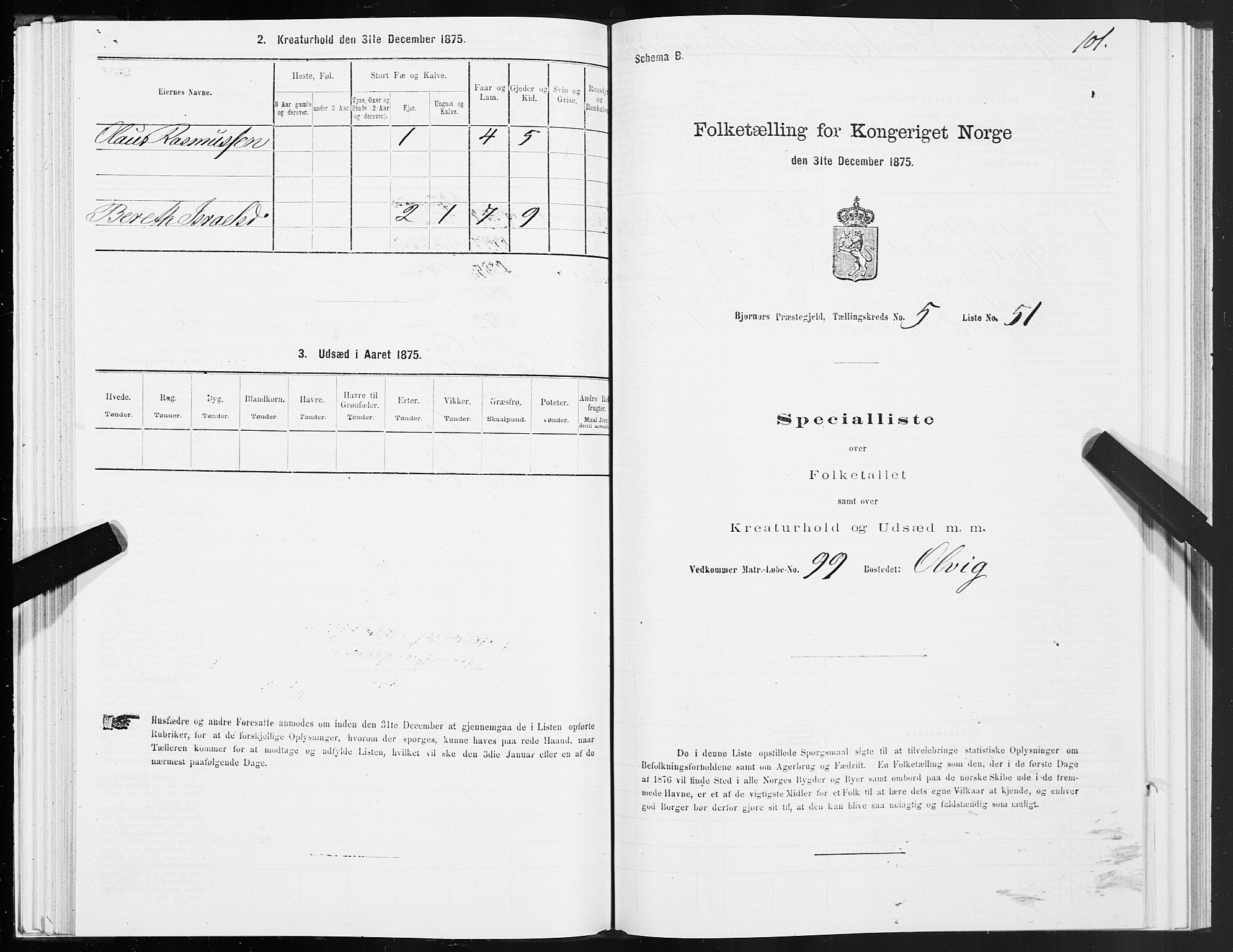 SAT, 1875 census for 1632P Bjørnør, 1875, p. 3101