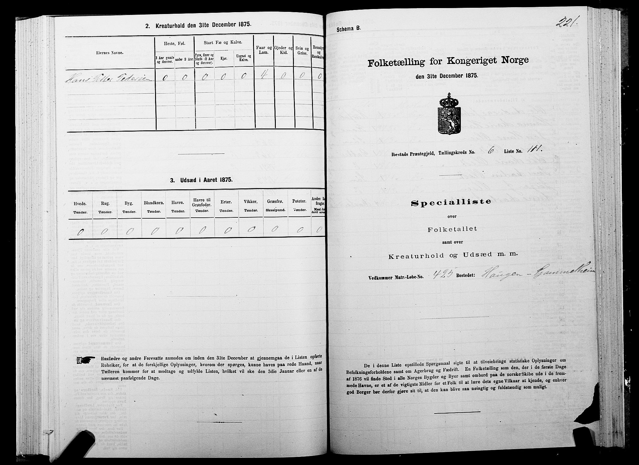 SATØ, 1875 census for 1917P Ibestad, 1875, p. 4221