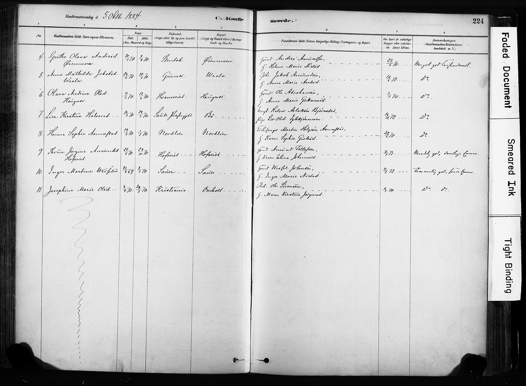 Sandsvær kirkebøker, AV/SAKO-A-244/F/Fb/L0001: Parish register (official) no. II 1, 1878-1906, p. 224