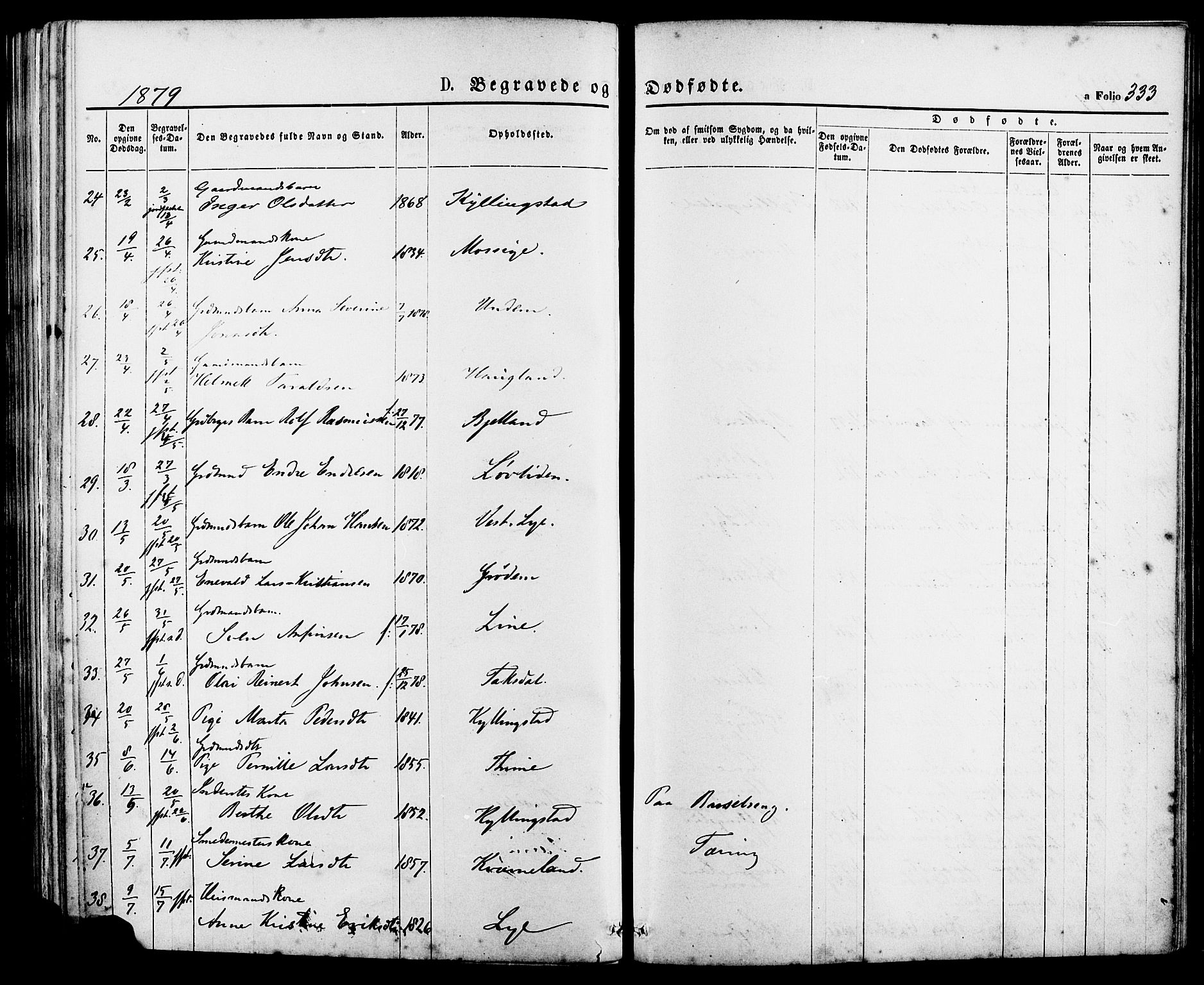 Lye sokneprestkontor, AV/SAST-A-101794/001/30BA/L0008: Parish register (official) no. A 7, 1872-1881, p. 333