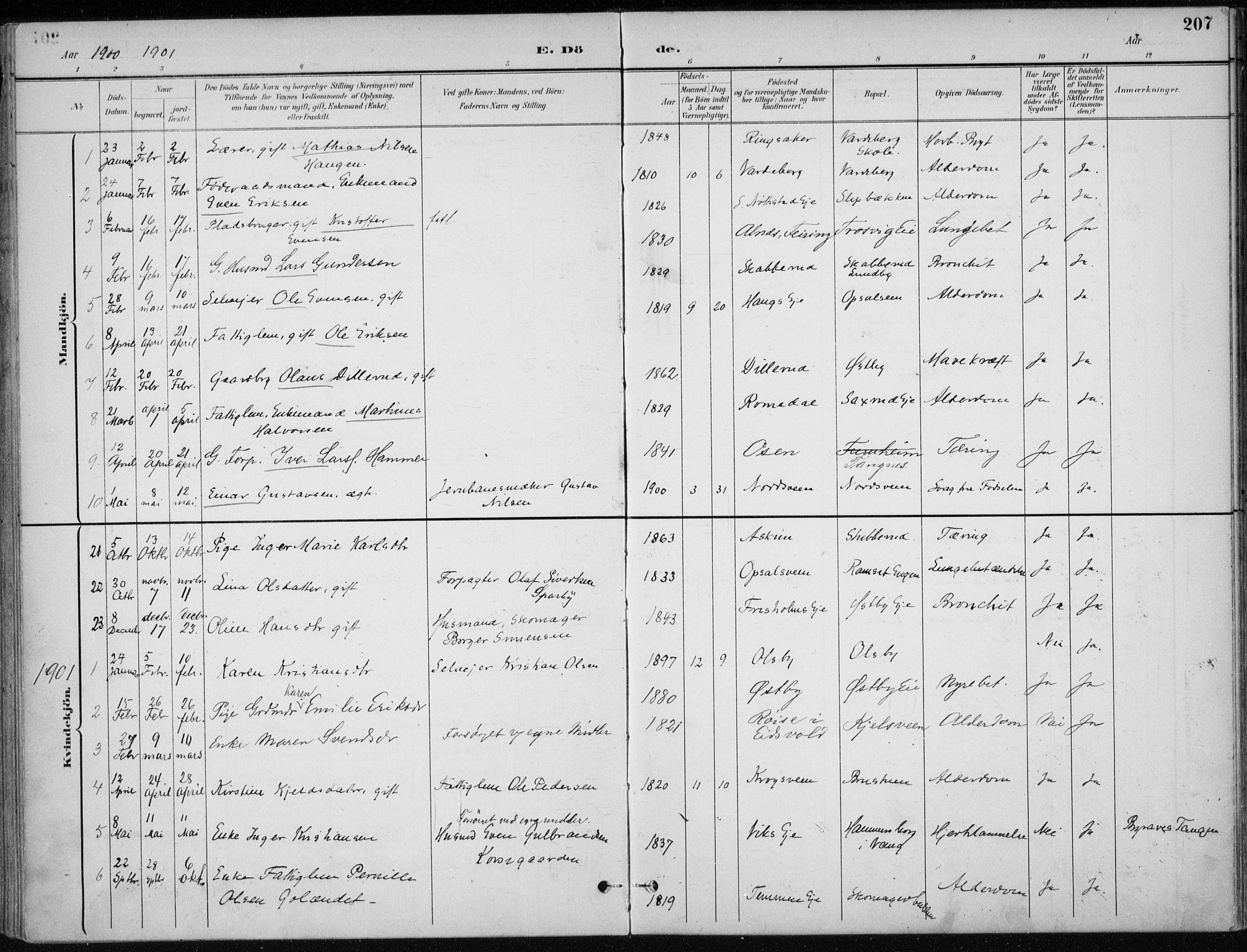 Stange prestekontor, SAH/PREST-002/K/L0023: Parish register (official) no. 23, 1897-1920, p. 207