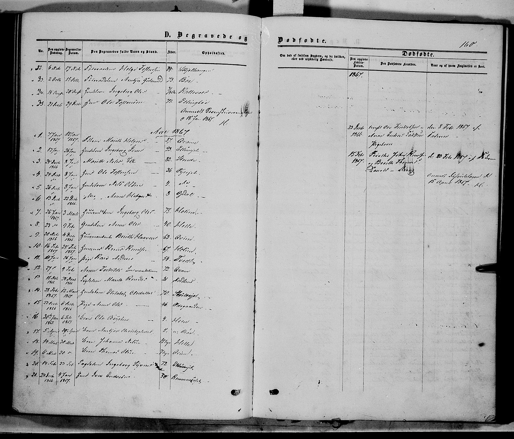 Vang prestekontor, Valdres, AV/SAH-PREST-140/H/Ha/L0007: Parish register (official) no. 7, 1865-1881, p. 160