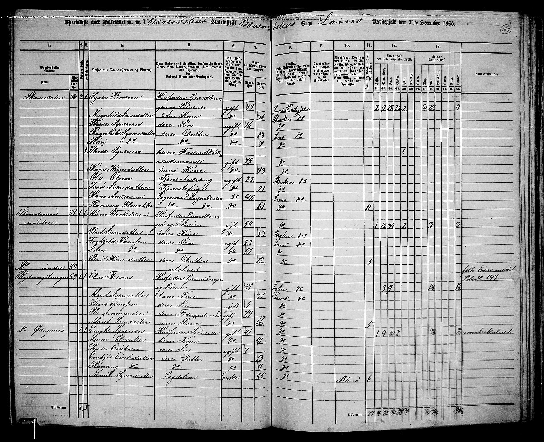 RA, 1865 census for Lom, 1865, p. 100