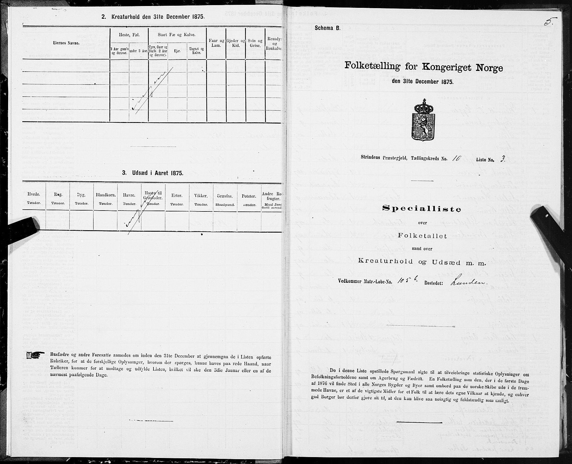 SAT, 1875 census for 1660P Strinda, 1875, p. 6005