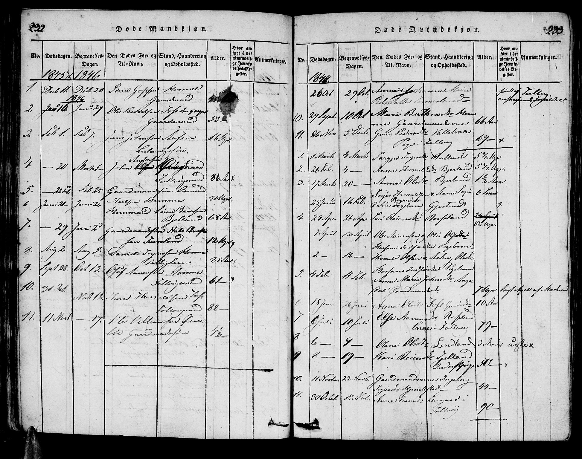 Bjelland sokneprestkontor, SAK/1111-0005/F/Fa/Faa/L0002: Parish register (official) no. A 2, 1816-1866, p. 232-233