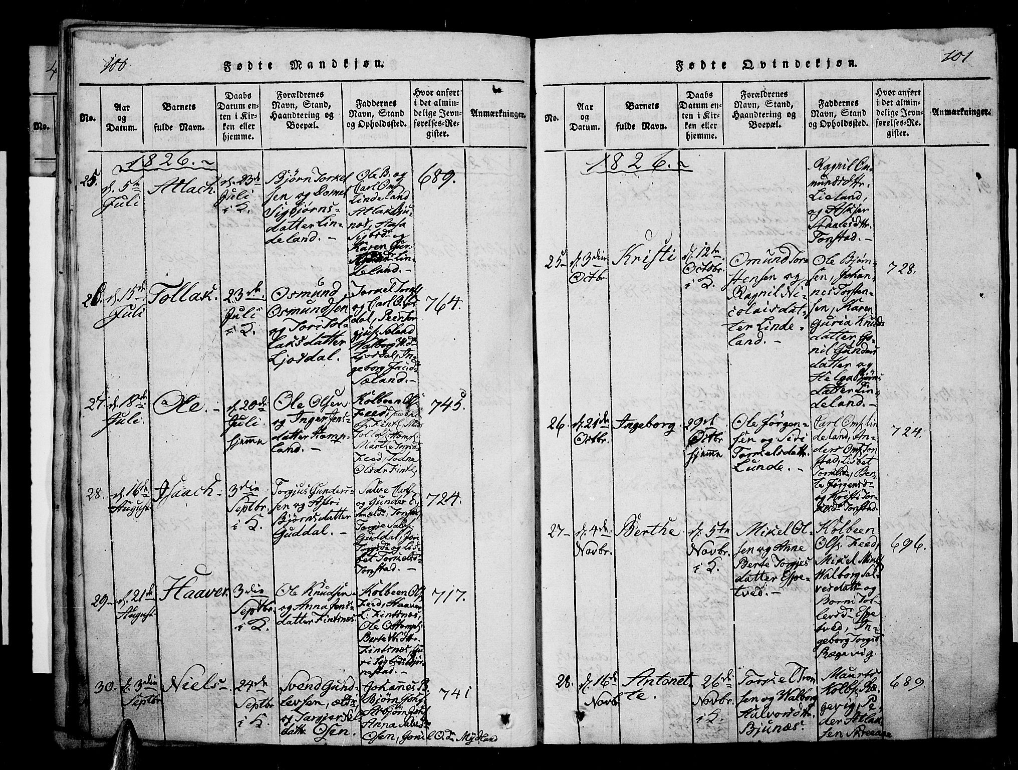 Sirdal sokneprestkontor, SAK/1111-0036/F/Fa/Fab/L0001: Parish register (official) no. A 1, 1815-1834, p. 100-101