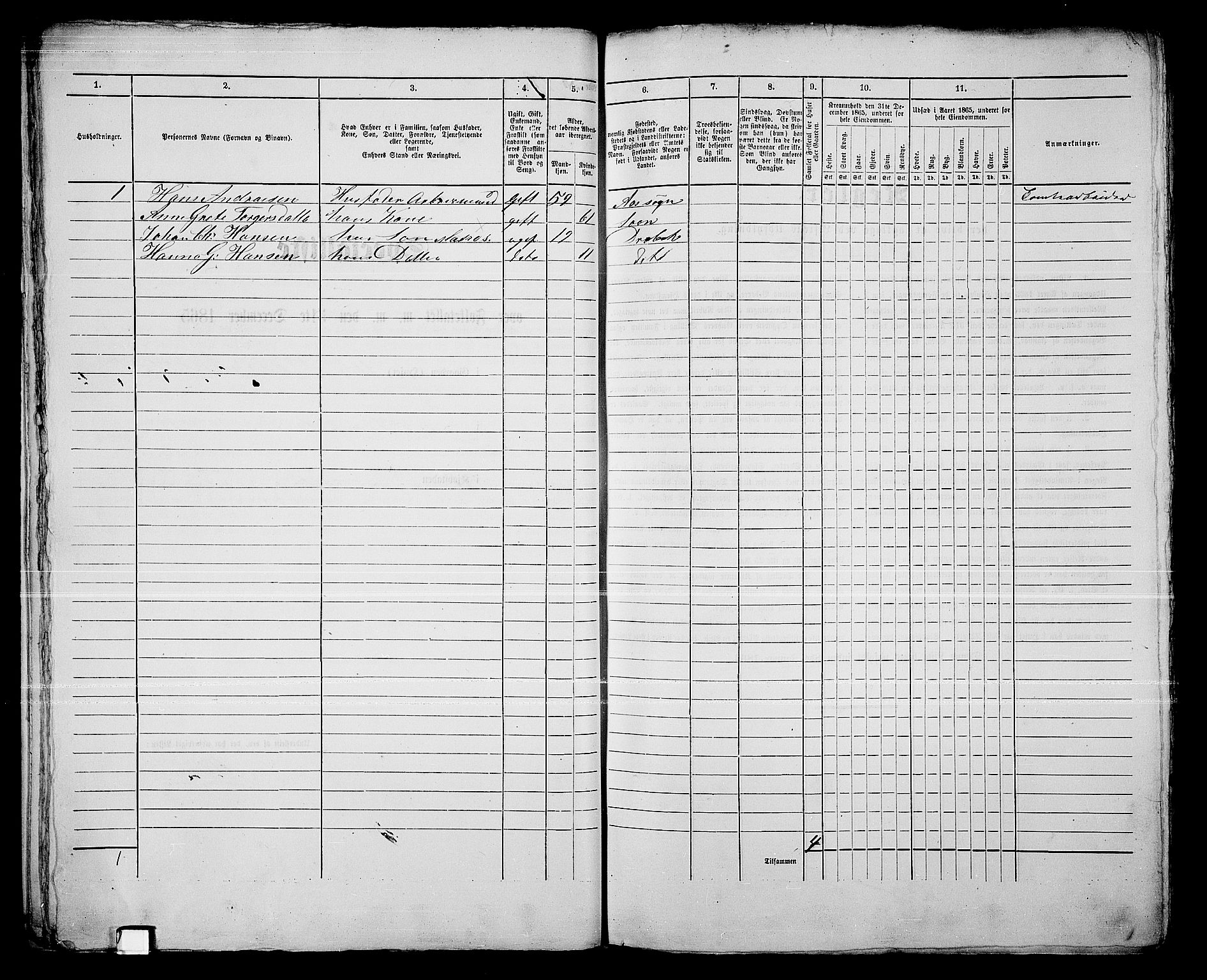 RA, 1865 census for Drøbak/Drøbak, 1865, p. 29