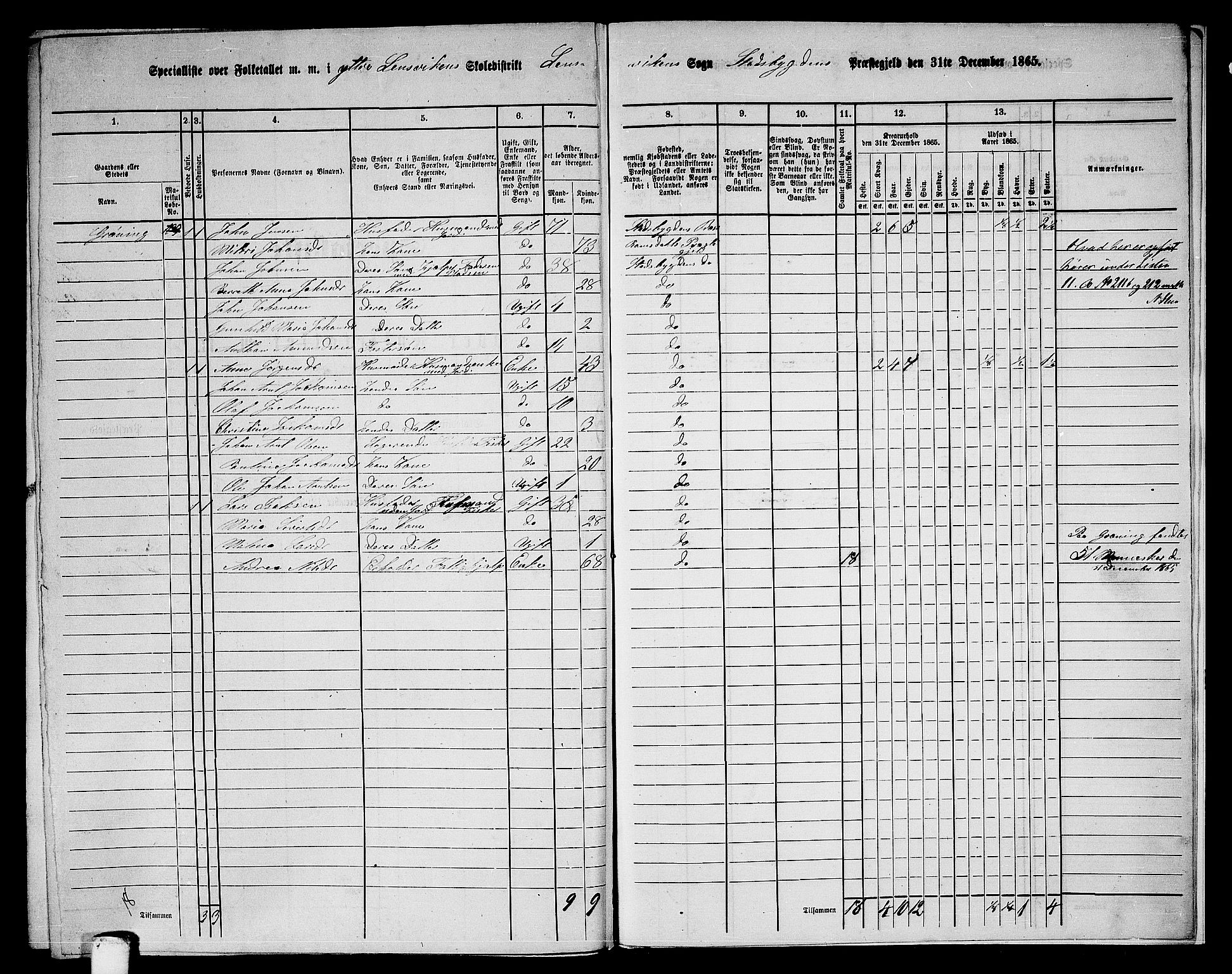 RA, 1865 census for Stadsbygd, 1865, p. 226