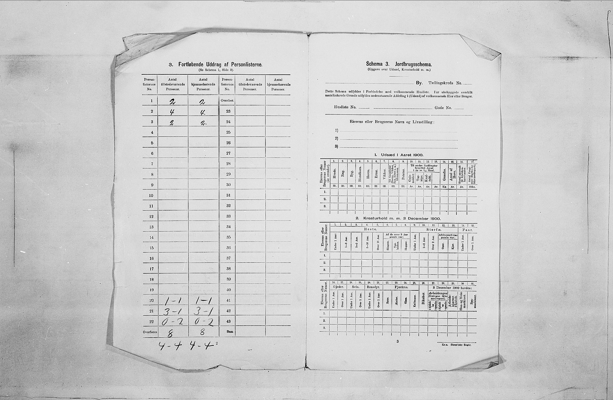 SAO, 1900 census for Fredrikshald, 1900