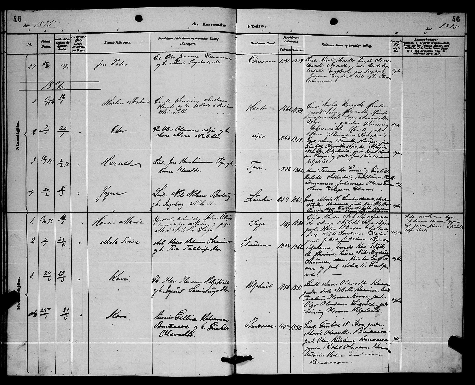 Lunde kirkebøker, AV/SAKO-A-282/G/Ga/L0002: Parish register (copy) no. I 2, 1887-1896, p. 46