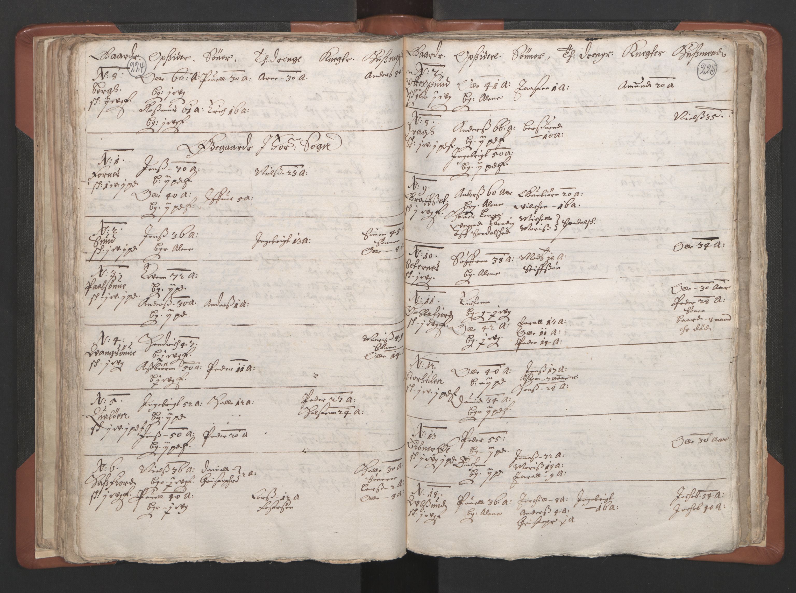 RA, Vicar's Census 1664-1666, no. 34: Namdal deanery, 1664-1666, p. 224-225