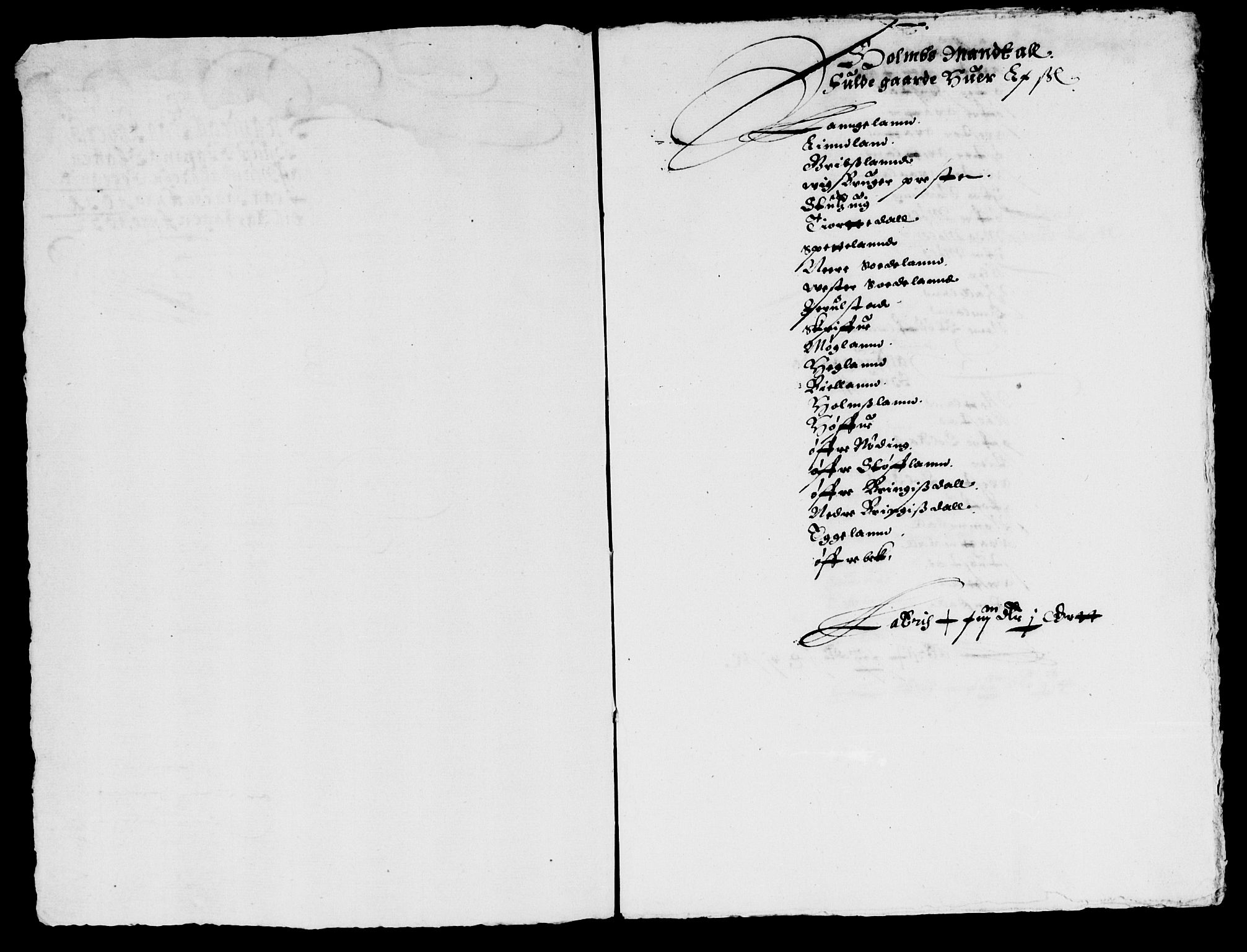 Rentekammeret inntil 1814, Reviderte regnskaper, Lensregnskaper, AV/RA-EA-5023/R/Rb/Rbq/L0021: Nedenes len. Mandals len. Råbyggelag., 1631-1633