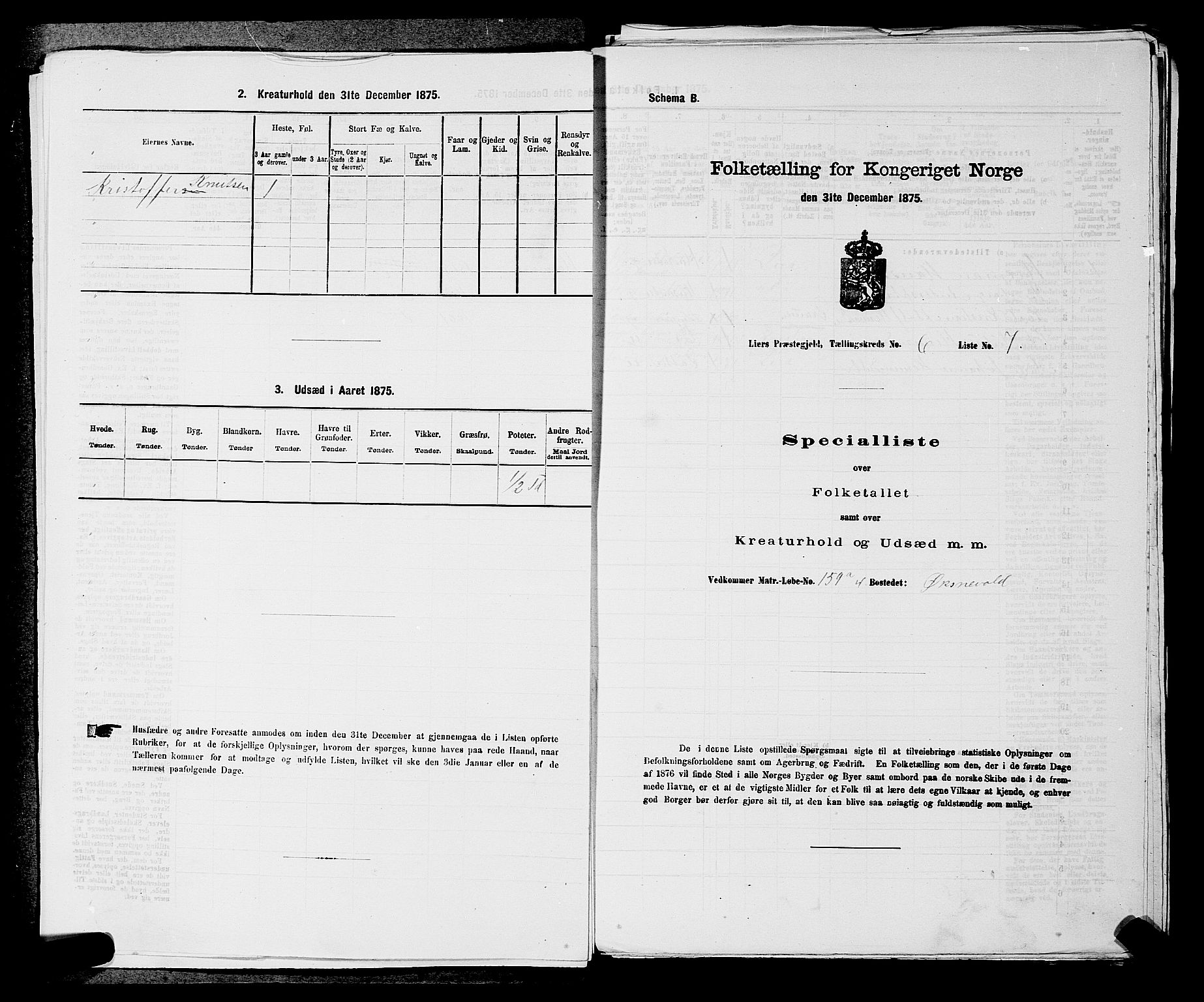 SAKO, 1875 census for 0626P Lier, 1875, p. 951