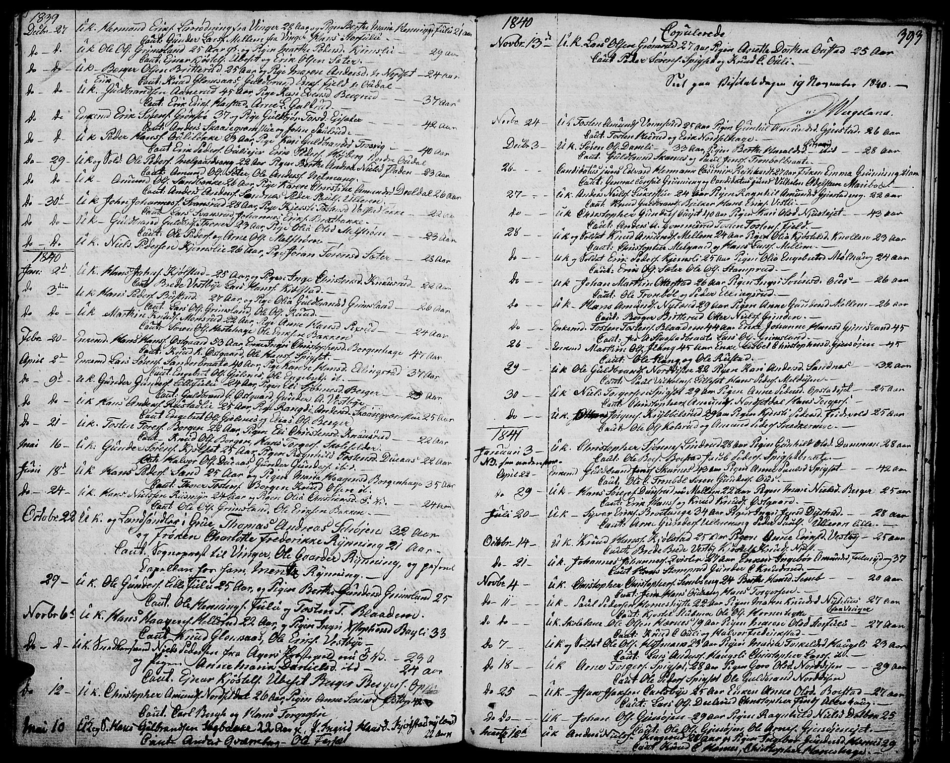 Strøm-Odalen prestekontor, SAH/PREST-028/H/Ha/Haa/L0005: Parish register (official) no. 5, 1811-1850, p. 393