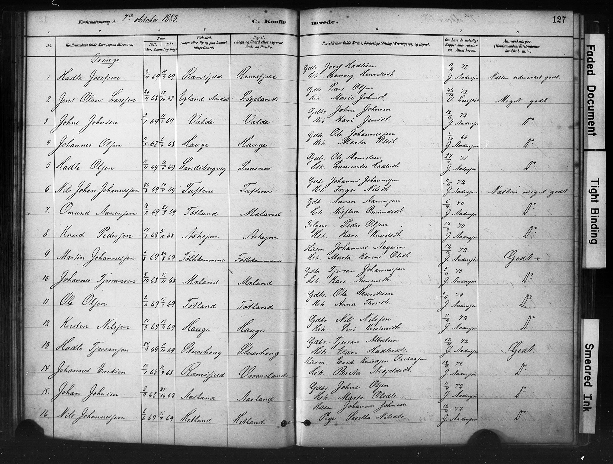 Hjelmeland sokneprestkontor, AV/SAST-A-101843/01/IV/L0014: Parish register (official) no. A 14, 1879-1900, p. 127