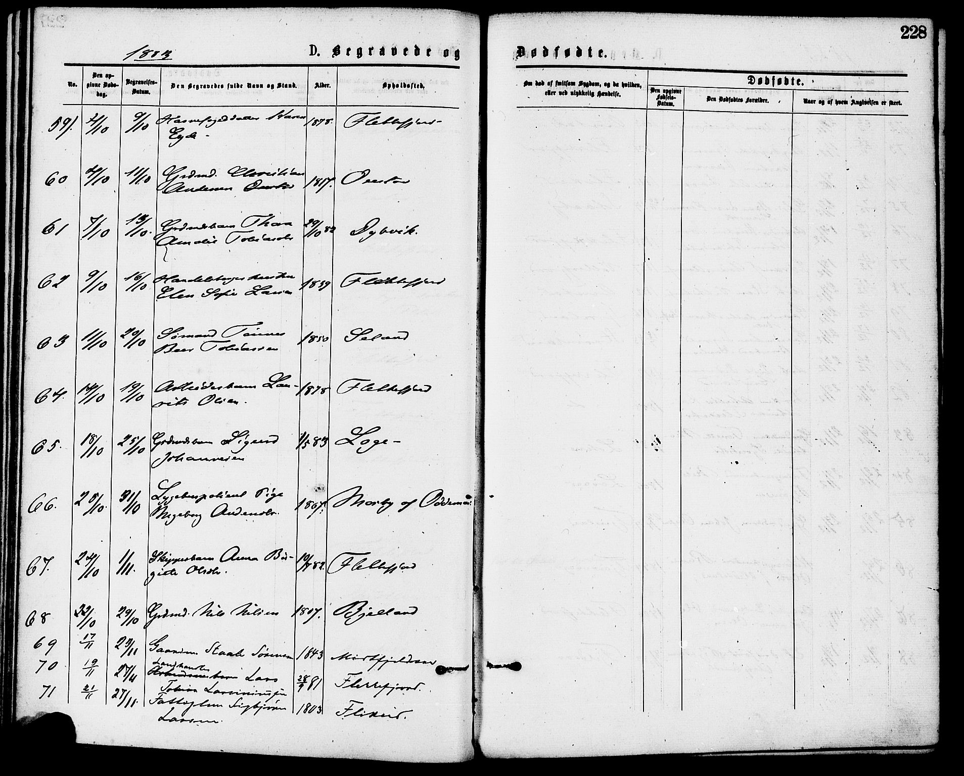 Flekkefjord sokneprestkontor, AV/SAK-1111-0012/F/Fa/Fac/L0007: Parish register (official) no. A 7, 1875-1885, p. 228