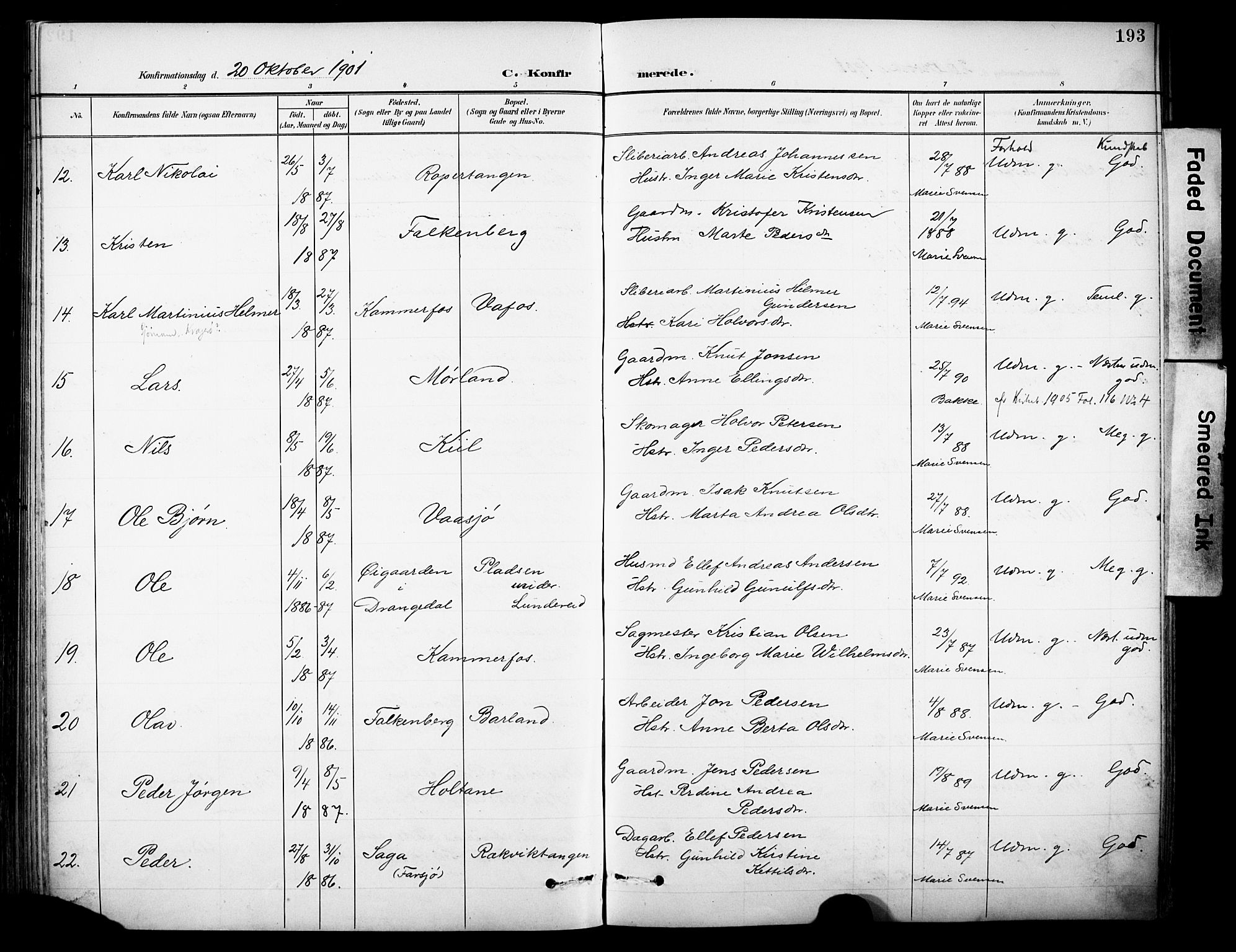 Sannidal kirkebøker, AV/SAKO-A-296/F/Fa/L0016: Parish register (official) no. 16, 1895-1911, p. 193