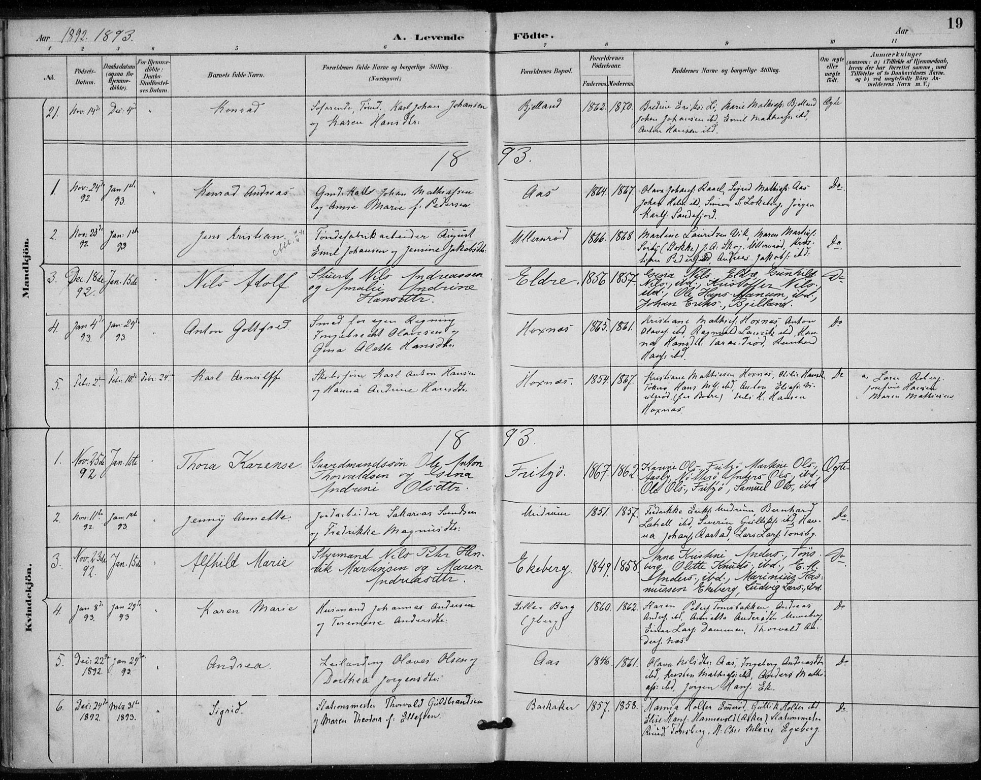 Sem kirkebøker, SAKO/A-5/F/Fa/L0011: Parish register (official) no. I 11, 1888-1904, p. 19