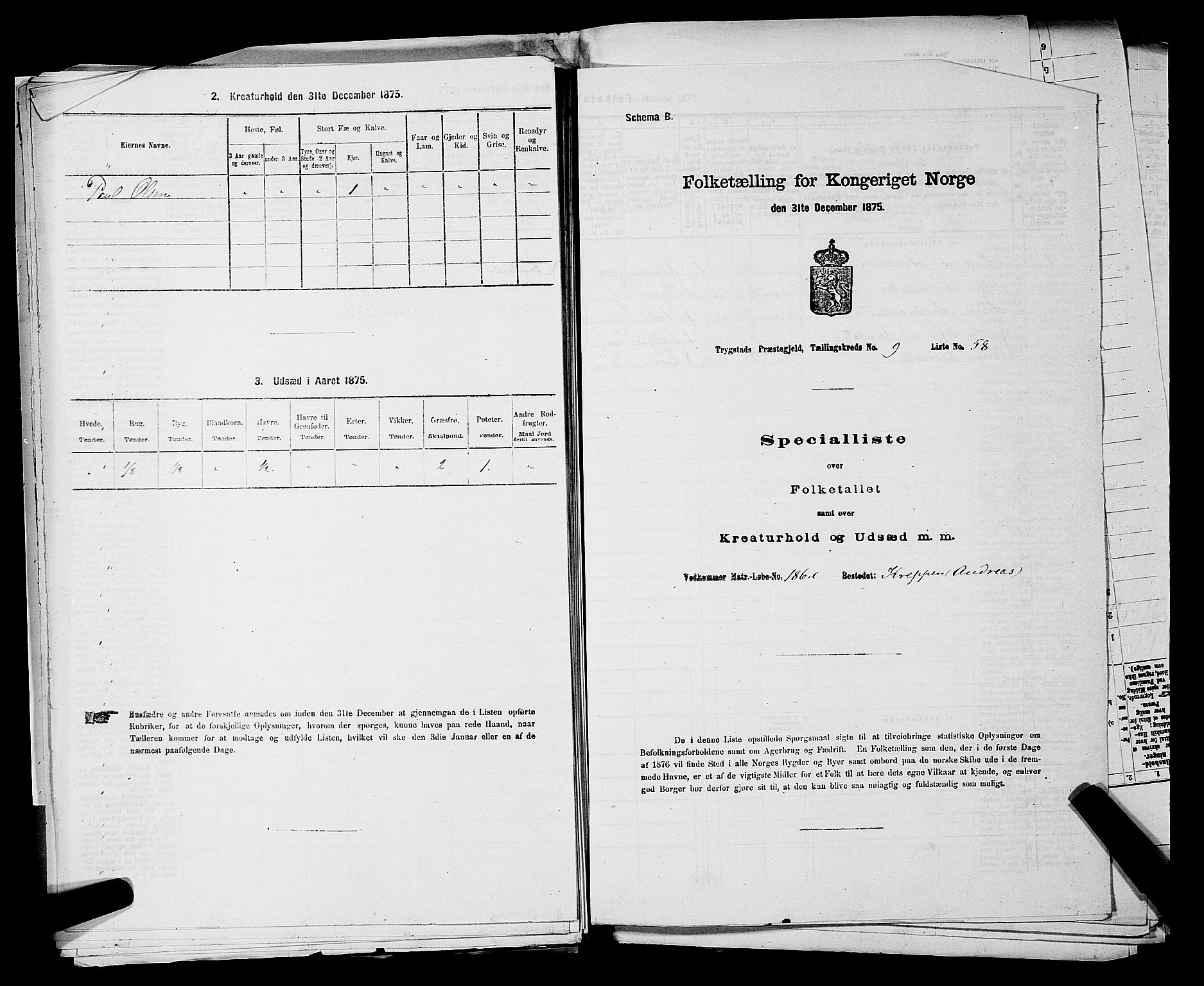 RA, 1875 census for 0122P Trøgstad, 1875, p. 1087