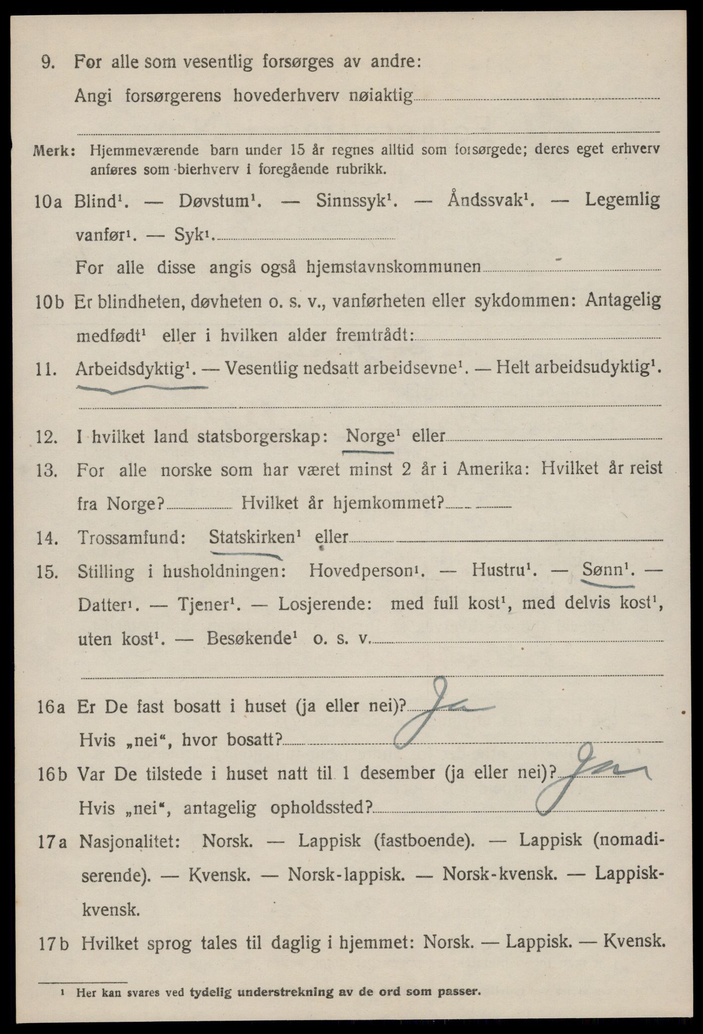 SAT, 1920 census for Selbu, 1920, p. 9441