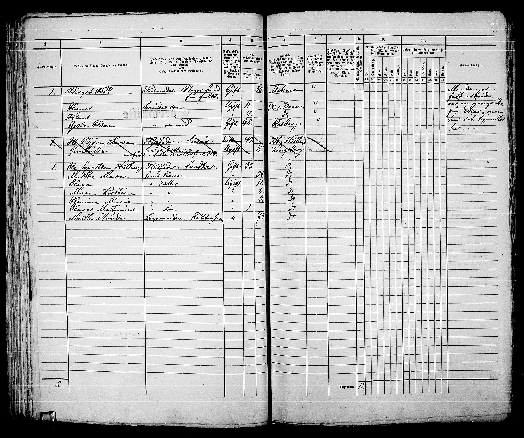 RA, 1865 census for Kongsberg/Kongsberg, 1865, p. 644