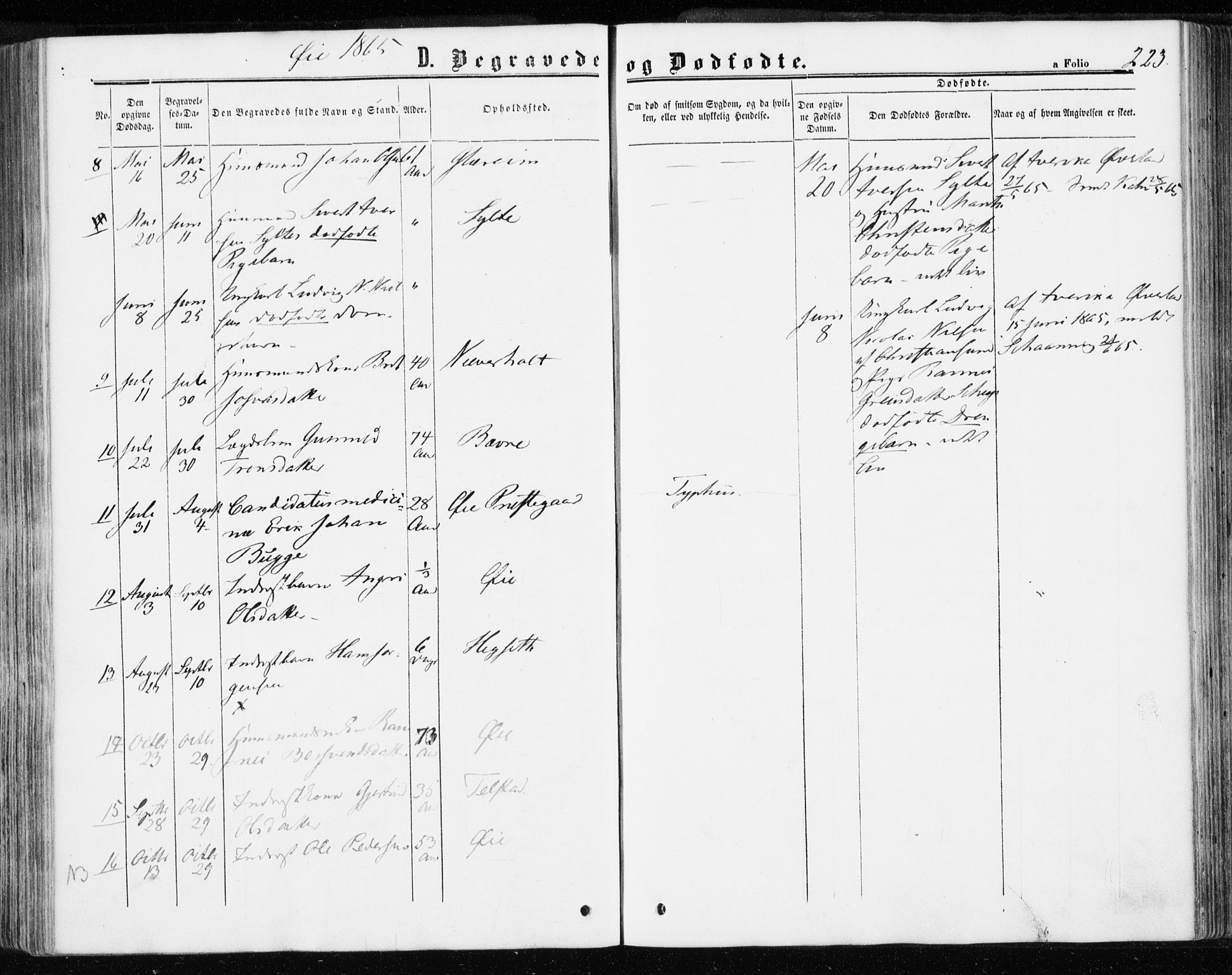 Ministerialprotokoller, klokkerbøker og fødselsregistre - Møre og Romsdal, SAT/A-1454/595/L1045: Parish register (official) no. 595A07, 1863-1873, p. 223