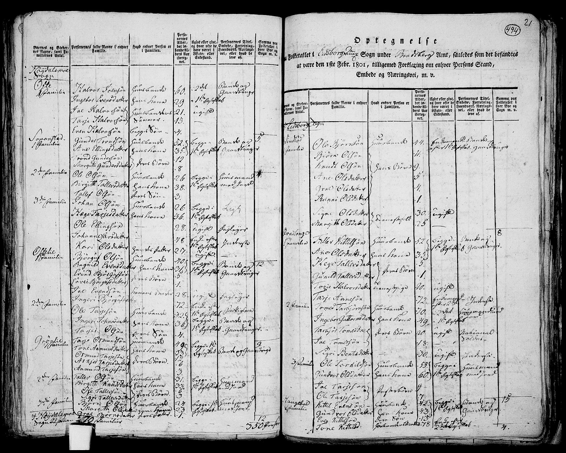 RA, 1801 census for 0833P Lårdal, 1801, p. 493b-494a