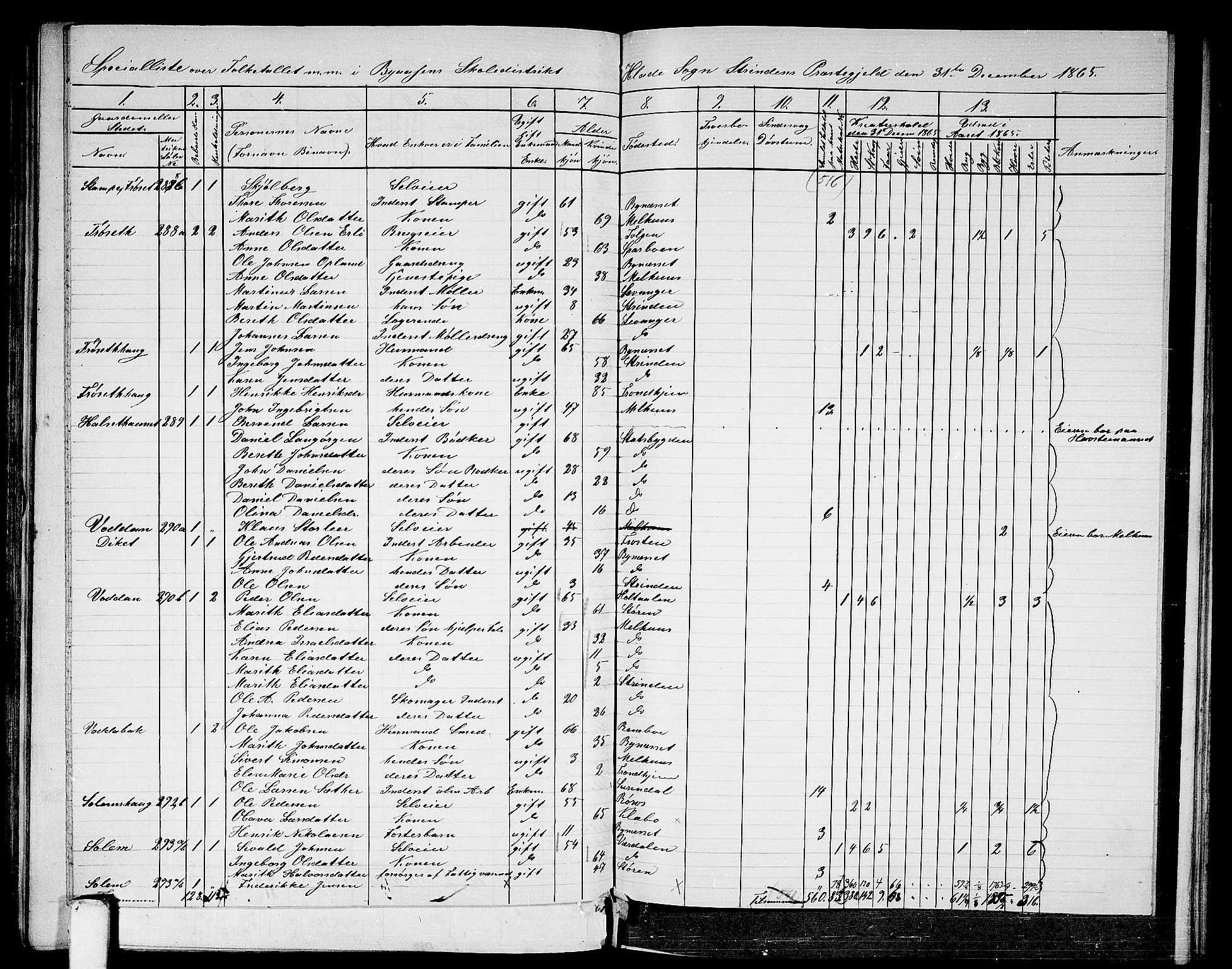 RA, 1865 census for Strinda, 1865, p. 158