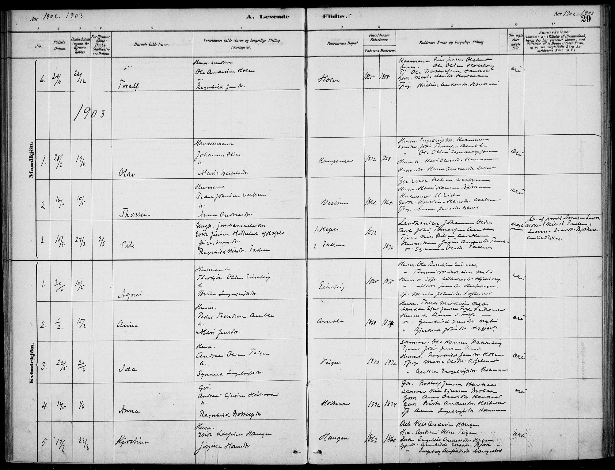 Sogndal sokneprestembete, AV/SAB-A-81301/H/Haa/Haad/L0001: Parish register (official) no. D  1, 1878-1907, p. 29