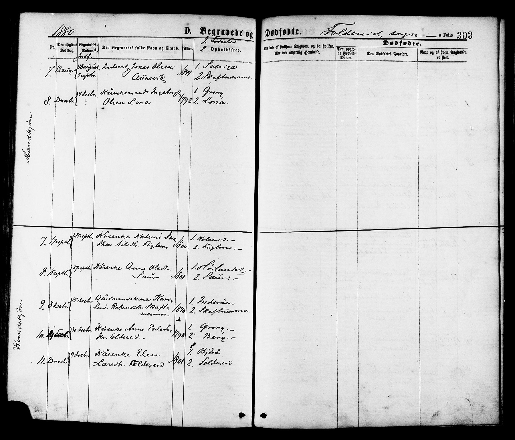Ministerialprotokoller, klokkerbøker og fødselsregistre - Nord-Trøndelag, SAT/A-1458/780/L0642: Parish register (official) no. 780A07 /2, 1878-1885, p. 303