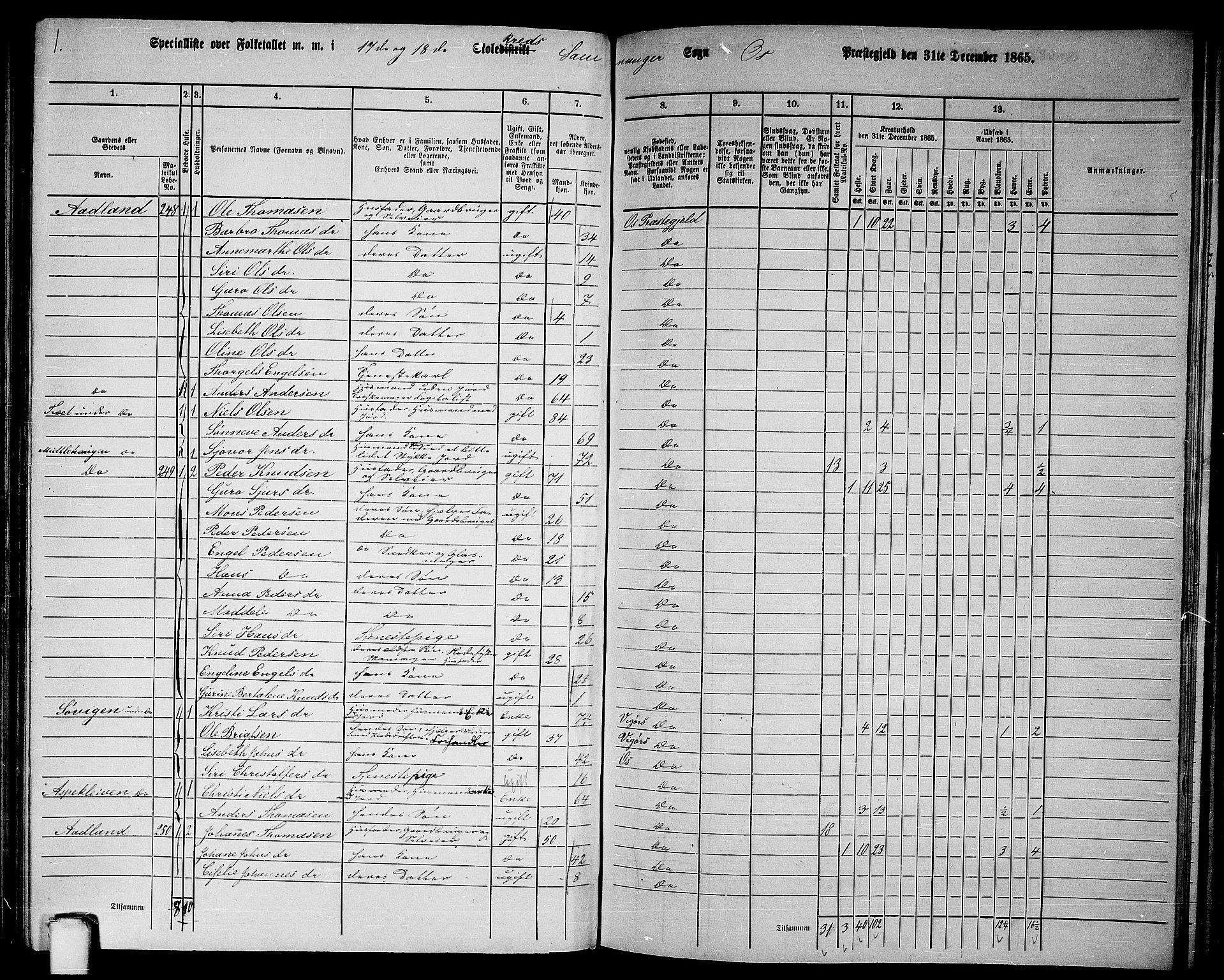 RA, 1865 census for Os, 1865, p. 112