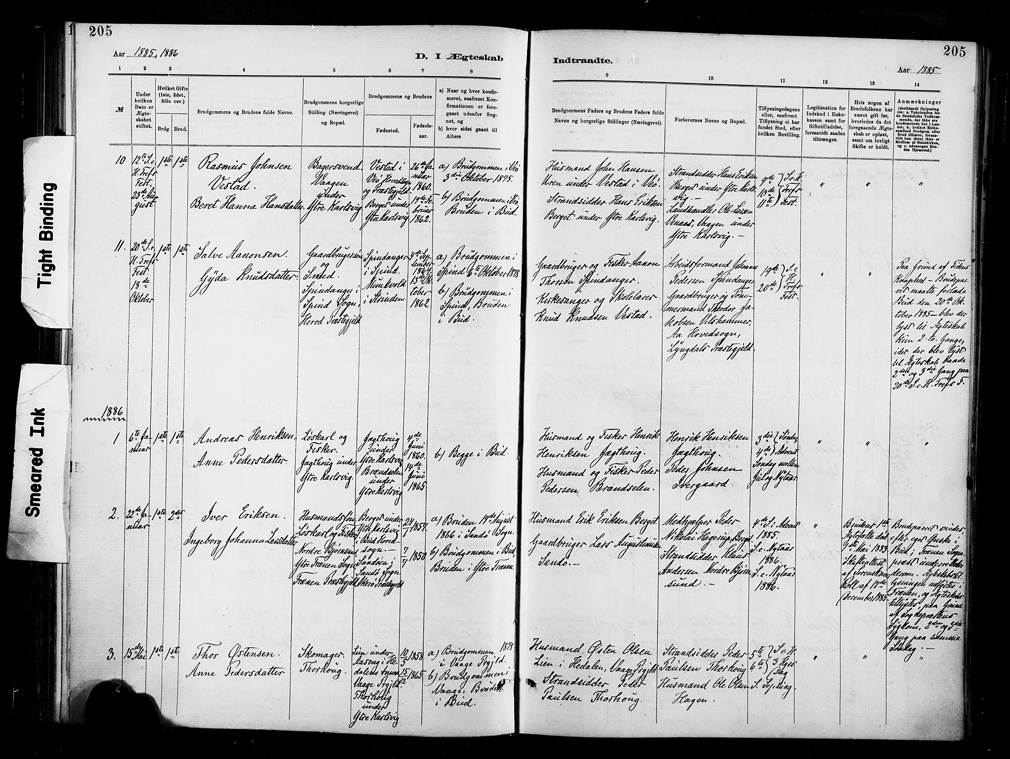 Ministerialprotokoller, klokkerbøker og fødselsregistre - Møre og Romsdal, AV/SAT-A-1454/566/L0769: Parish register (official) no. 566A08, 1881-1903, p. 205