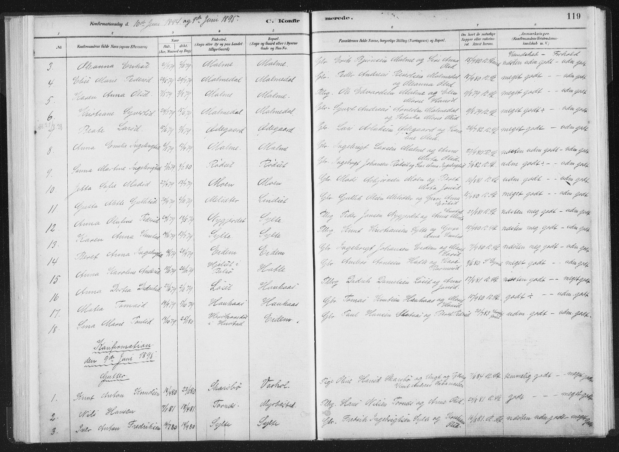 Ministerialprotokoller, klokkerbøker og fødselsregistre - Møre og Romsdal, AV/SAT-A-1454/564/L0740: Parish register (official) no. 564A01, 1880-1899, p. 119