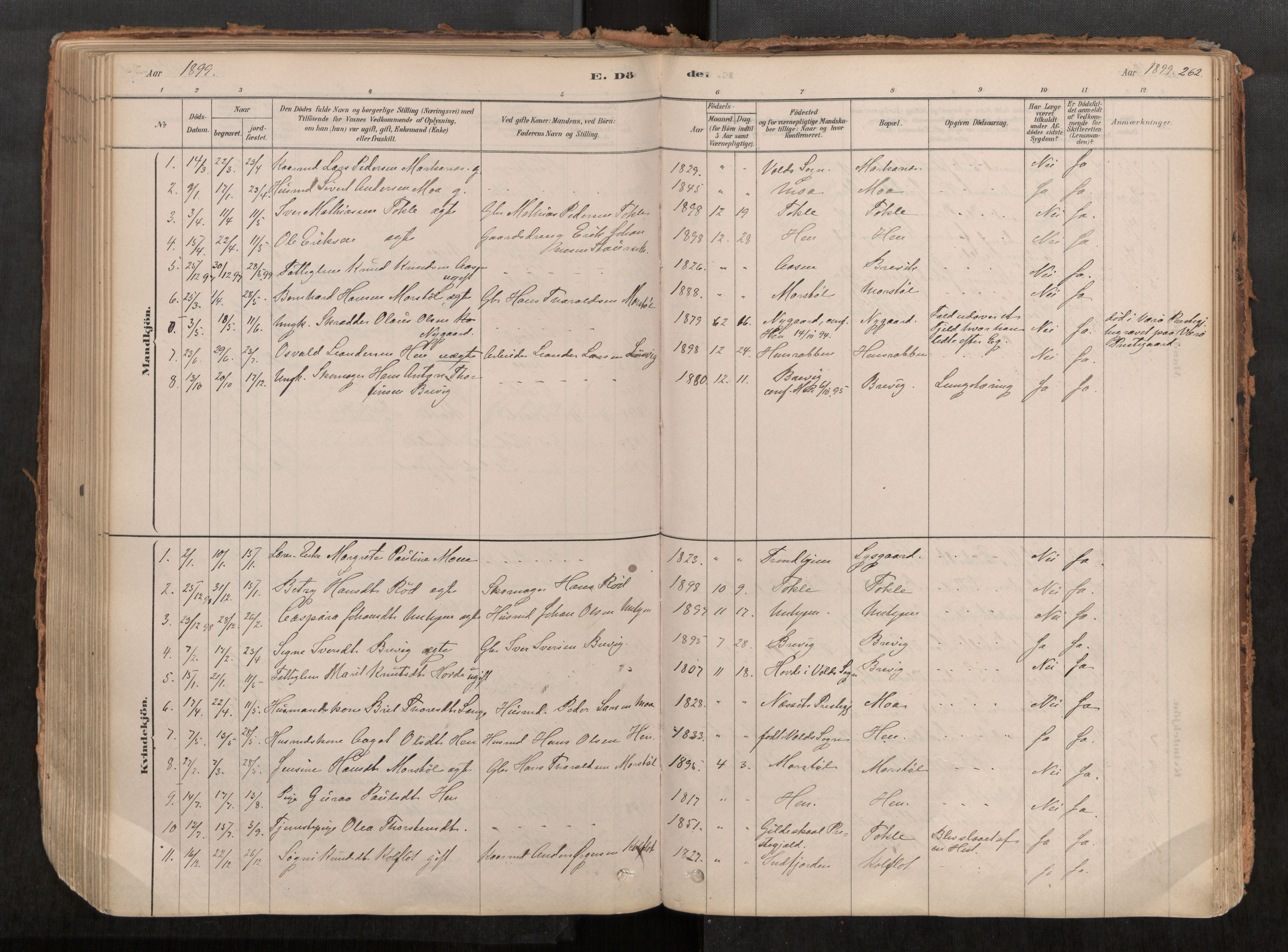 Ministerialprotokoller, klokkerbøker og fødselsregistre - Møre og Romsdal, AV/SAT-A-1454/545/L0594: Parish register (official) no. 545A03, 1878-1920, p. 262