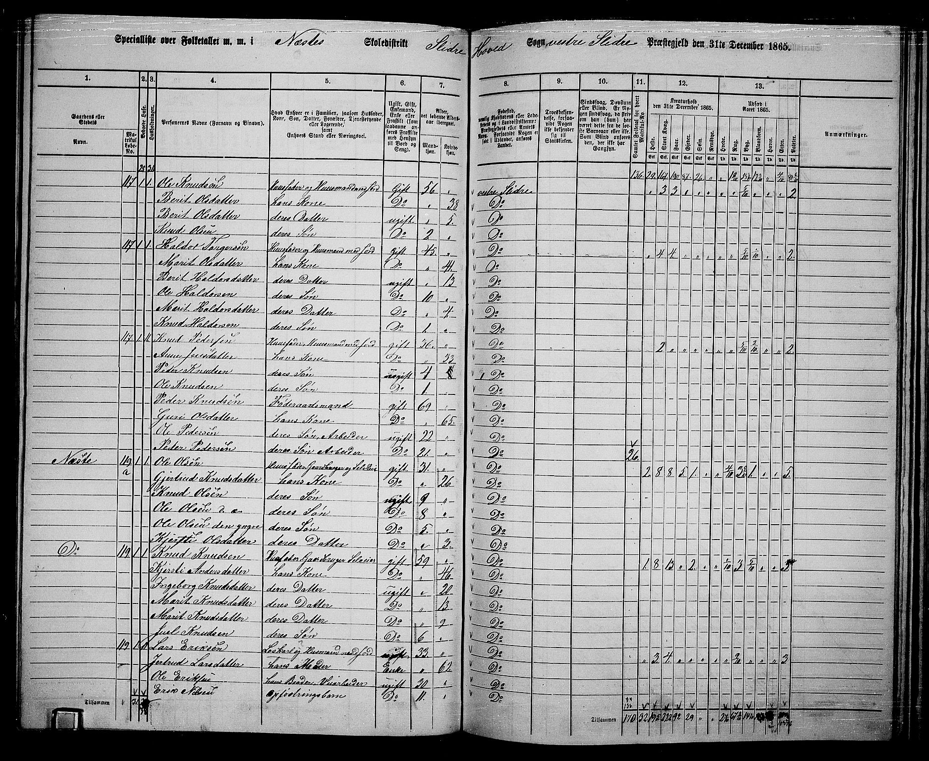 RA, 1865 census for Vestre Slidre, 1865, p. 84