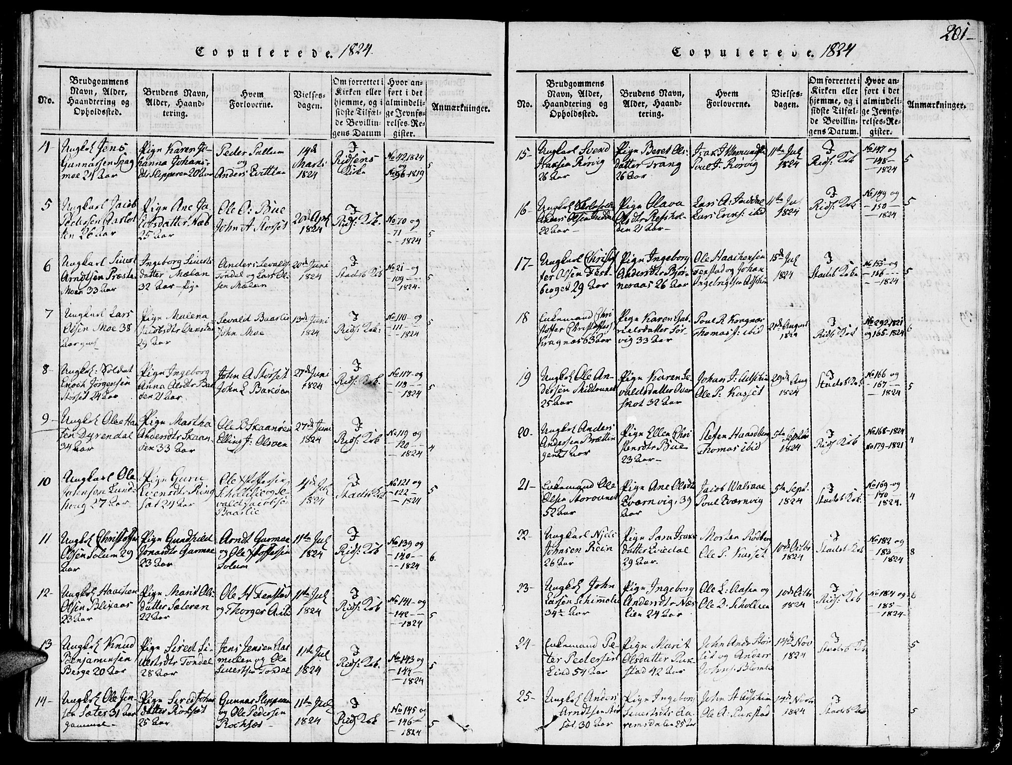 Ministerialprotokoller, klokkerbøker og fødselsregistre - Sør-Trøndelag, SAT/A-1456/646/L0608: Parish register (official) no. 646A06, 1816-1825, p. 201