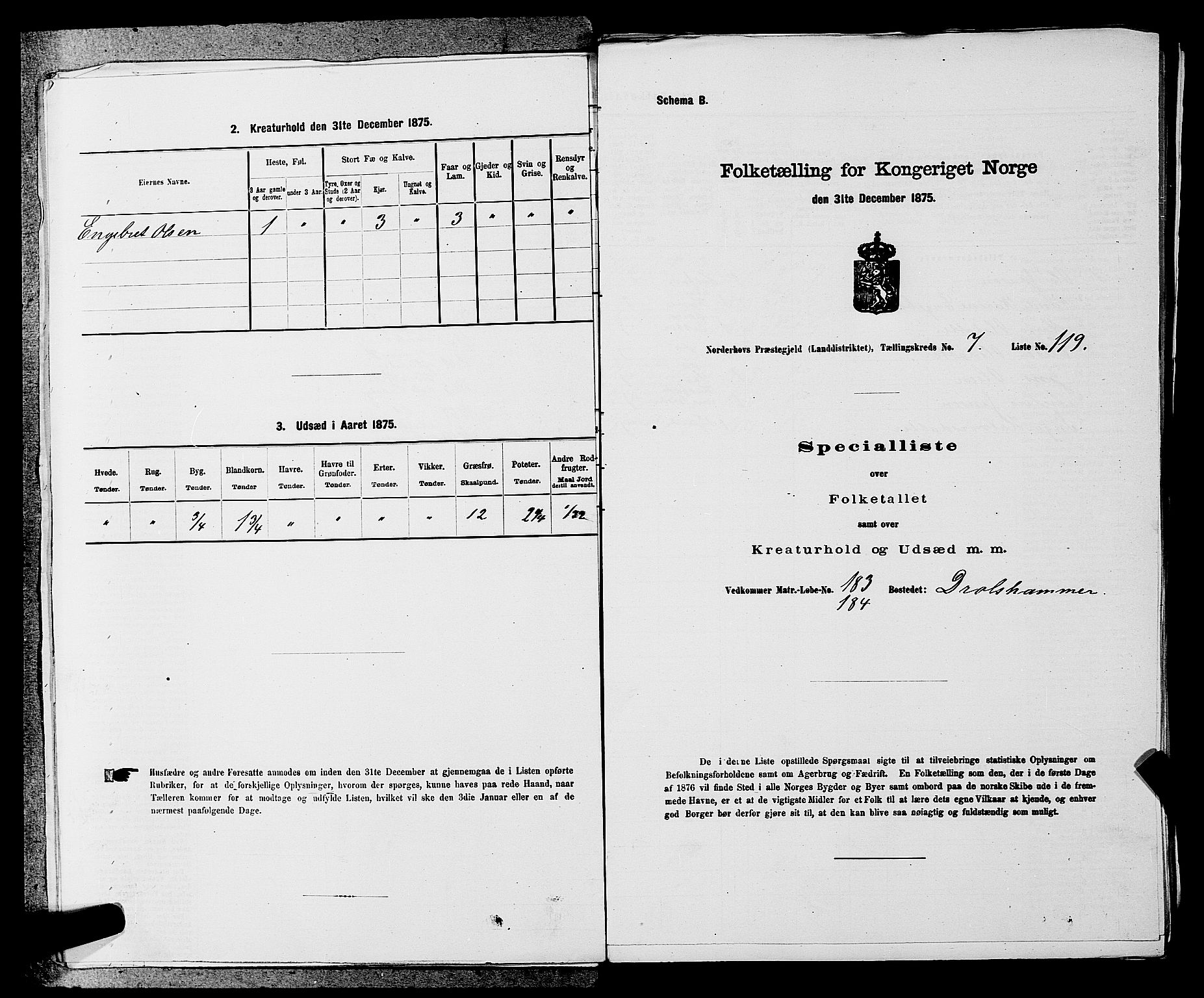 SAKO, 1875 census for 0613L Norderhov/Norderhov, Haug og Lunder, 1875, p. 1242