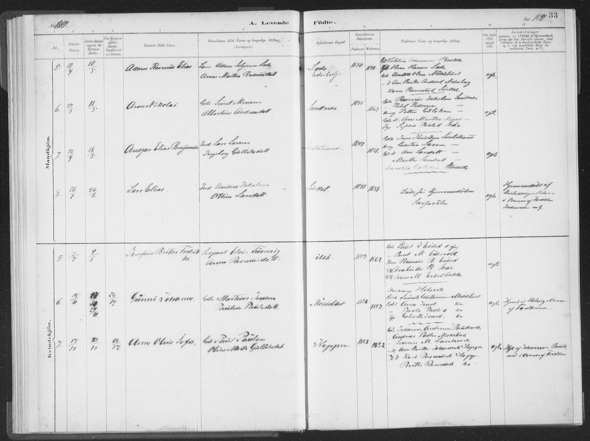 Ministerialprotokoller, klokkerbøker og fødselsregistre - Møre og Romsdal, AV/SAT-A-1454/502/L0025: Parish register (official) no. 502A03, 1885-1909, p. 33