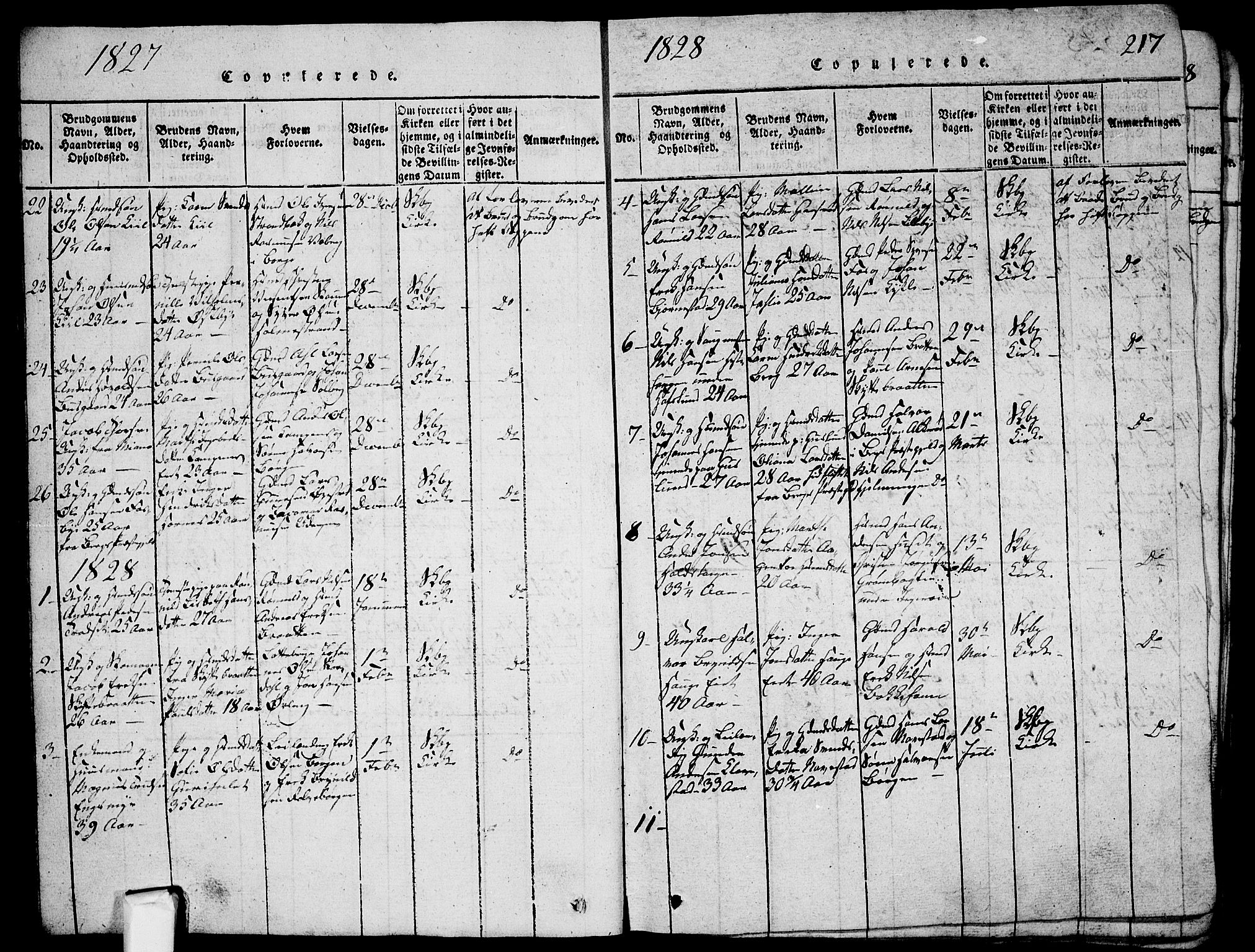 Skjeberg prestekontor Kirkebøker, AV/SAO-A-10923/G/Ga/L0001: Parish register (copy) no. I 1, 1815-1830, p. 217