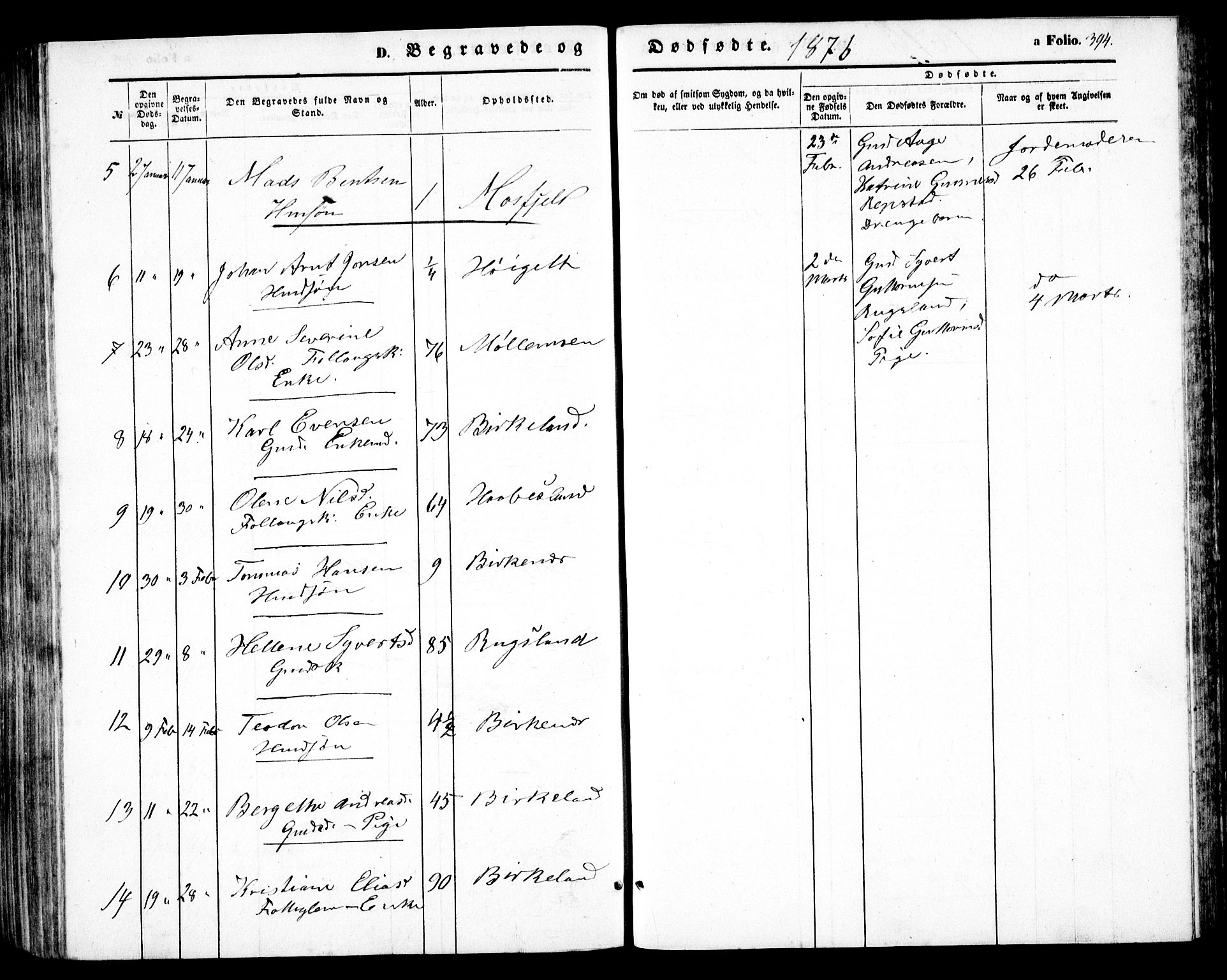 Birkenes sokneprestkontor, AV/SAK-1111-0004/F/Fb/L0002: Parish register (copy) no. B 2, 1849-1876, p. 394