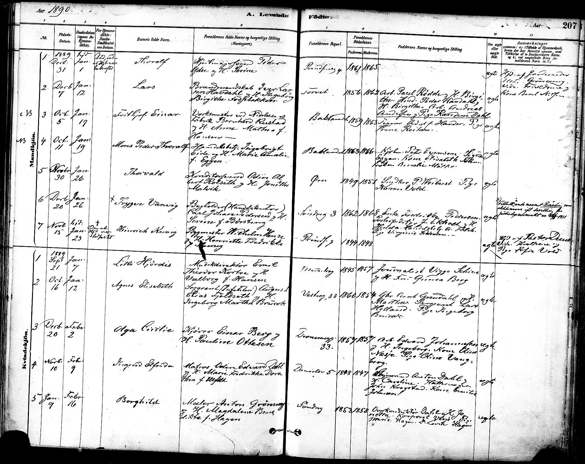Ministerialprotokoller, klokkerbøker og fødselsregistre - Sør-Trøndelag, SAT/A-1456/601/L0057: Parish register (official) no. 601A25, 1877-1891, p. 207