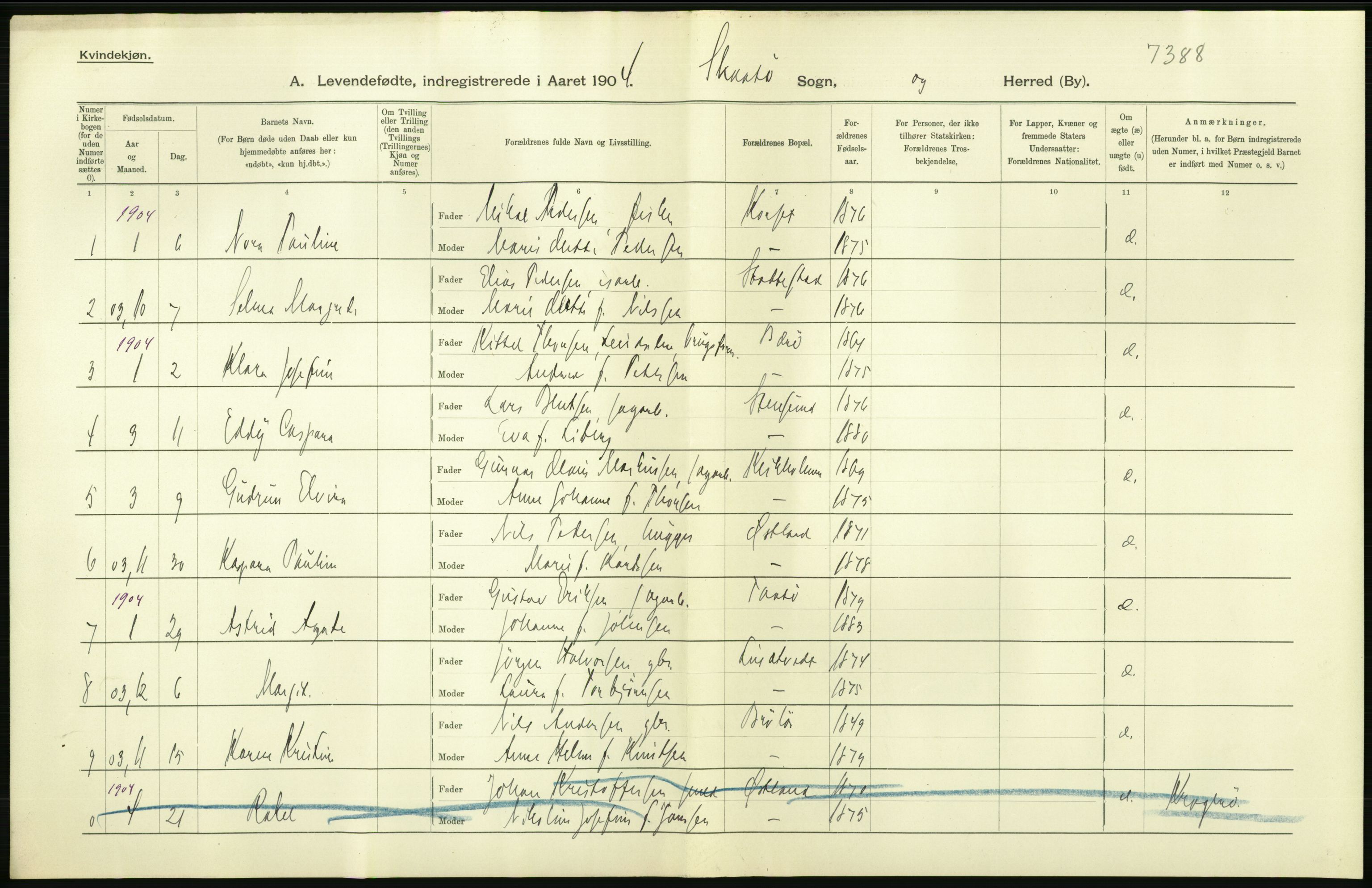 Statistisk sentralbyrå, Sosiodemografiske emner, Befolkning, AV/RA-S-2228/D/Df/Dfa/Dfab/L0009: Bratsberg amt: Fødte, gifte, døde, 1904, p. 34