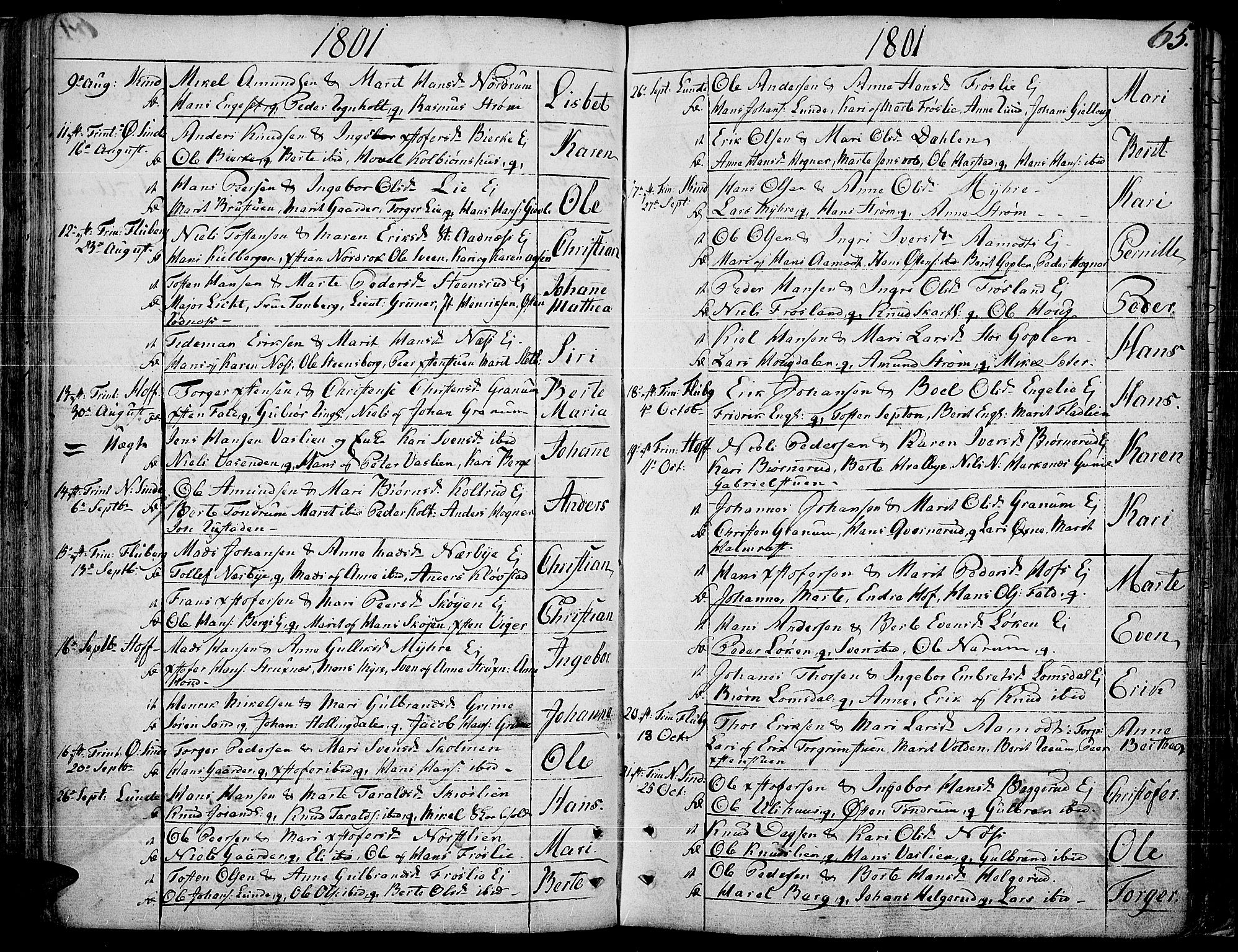 Land prestekontor, SAH/PREST-120/H/Ha/Haa/L0006: Parish register (official) no. 6, 1784-1813, p. 65