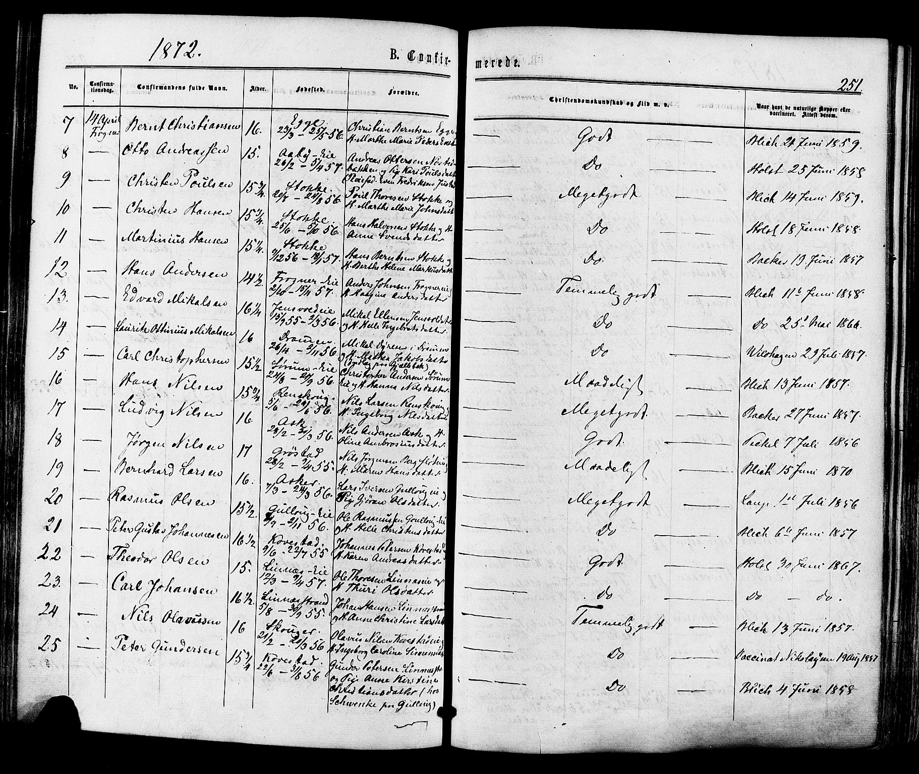 Lier kirkebøker, AV/SAKO-A-230/F/Fa/L0013: Parish register (official) no. I 13, 1865-1874, p. 251