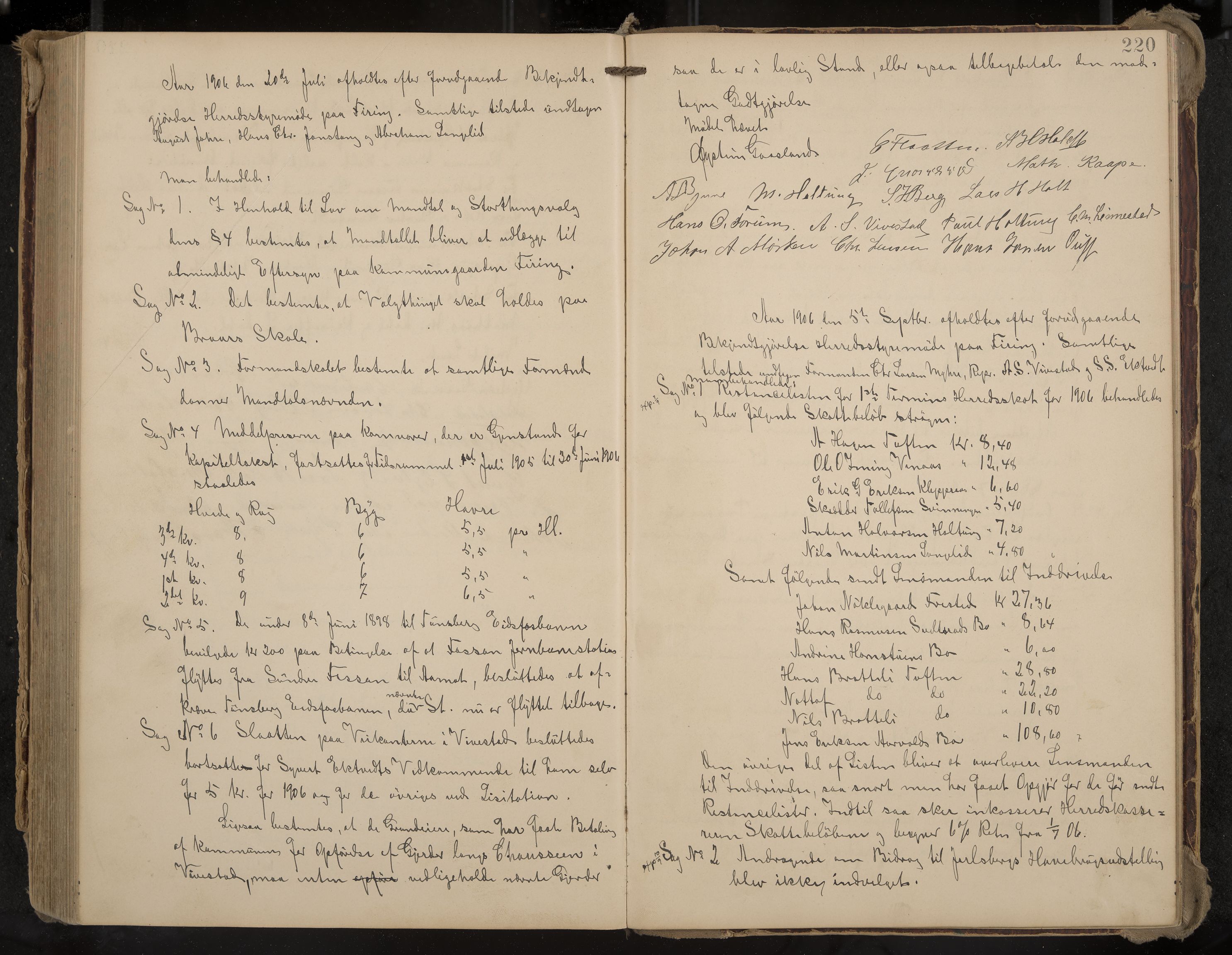 Ramnes formannskap og sentraladministrasjon, IKAK/0718021/A/Aa/L0004: Møtebok, 1892-1907, p. 220