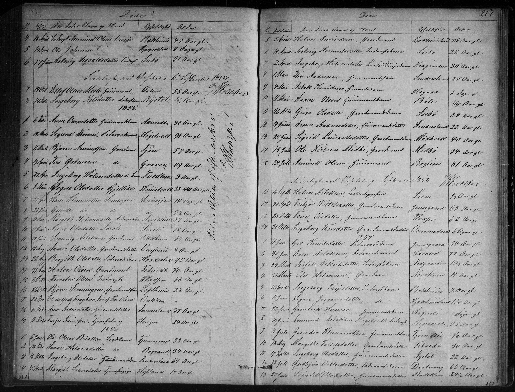 Vinje kirkebøker, SAKO/A-312/G/Ga/L0002: Parish register (copy) no. I 2, 1849-1893, p. 217