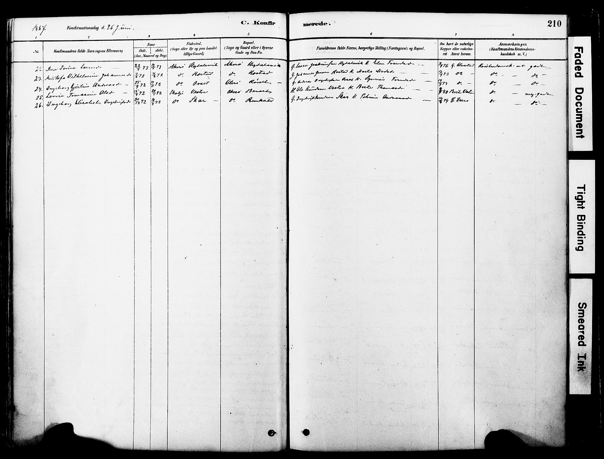 Ministerialprotokoller, klokkerbøker og fødselsregistre - Møre og Romsdal, SAT/A-1454/560/L0721: Parish register (official) no. 560A05, 1878-1917, p. 210