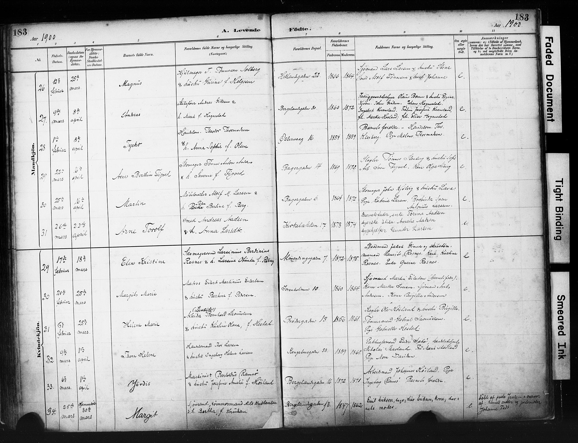 St. Petri sokneprestkontor, AV/SAST-A-101813/001/30/30BA/L0019: Parish register (official) no. A 20, 1888-1901, p. 183